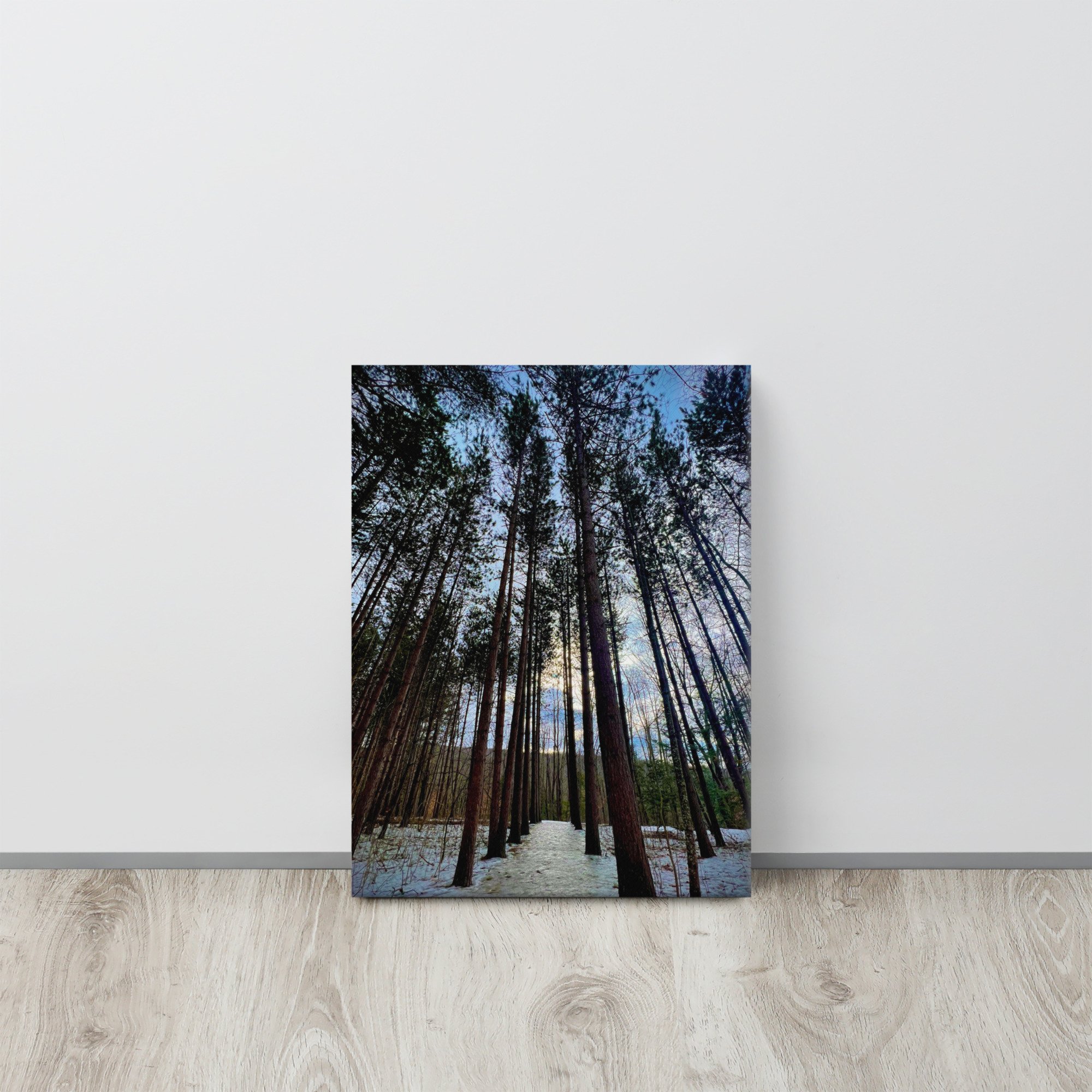 canvas-(in)-12x16-front-63e5551aaf9ee.jpg