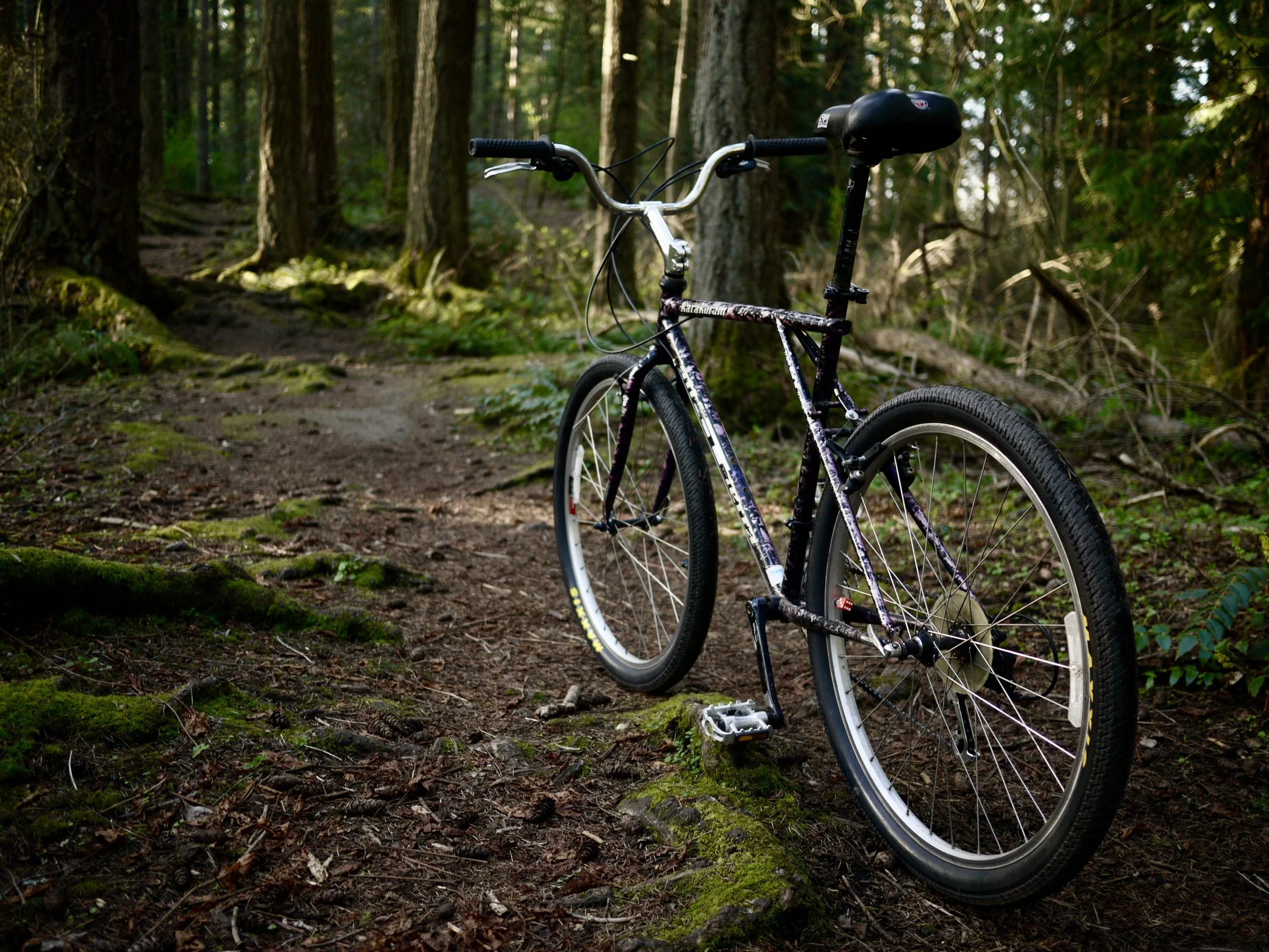 Triple Triangle in the woods