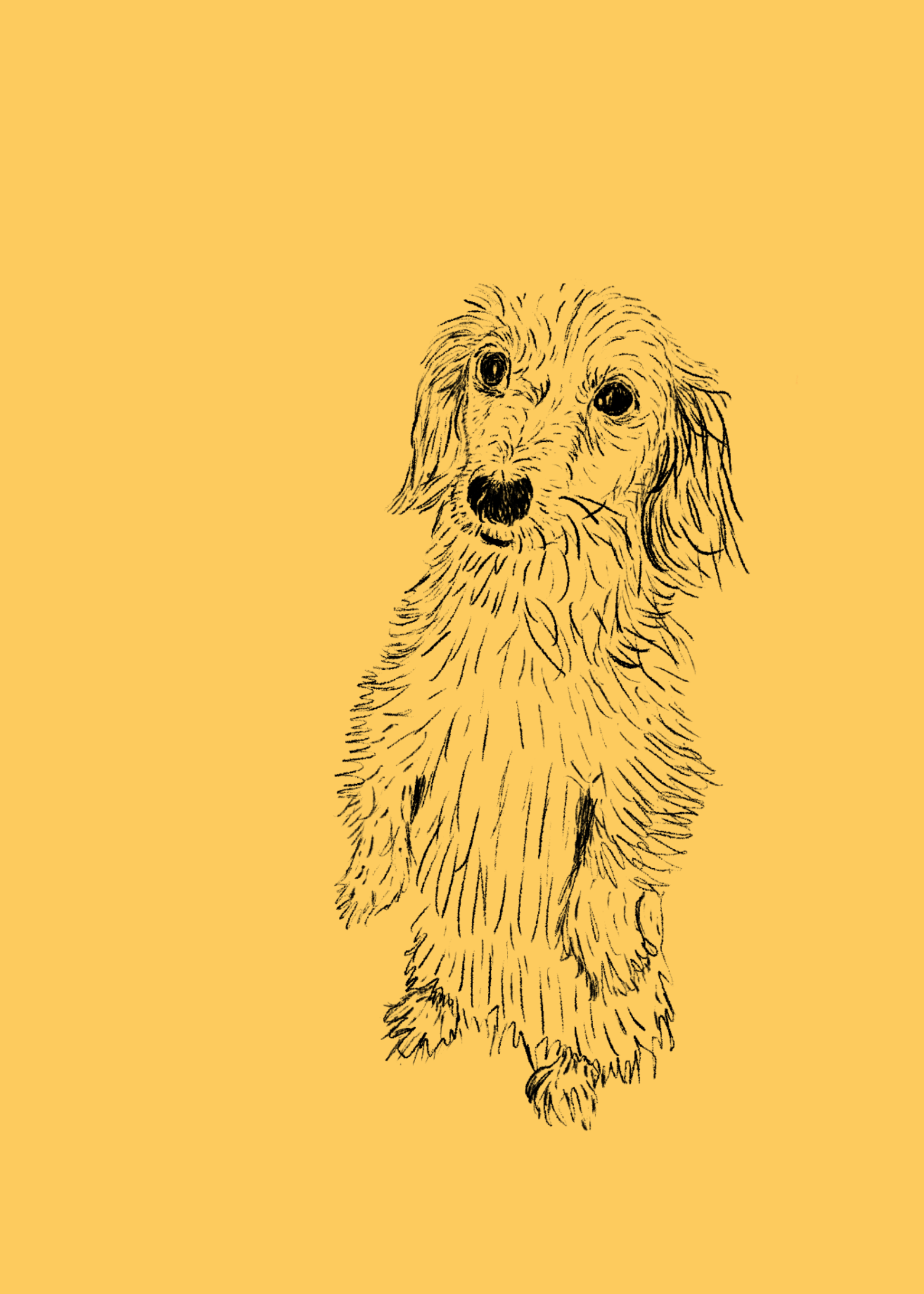 Gus 5x7.png