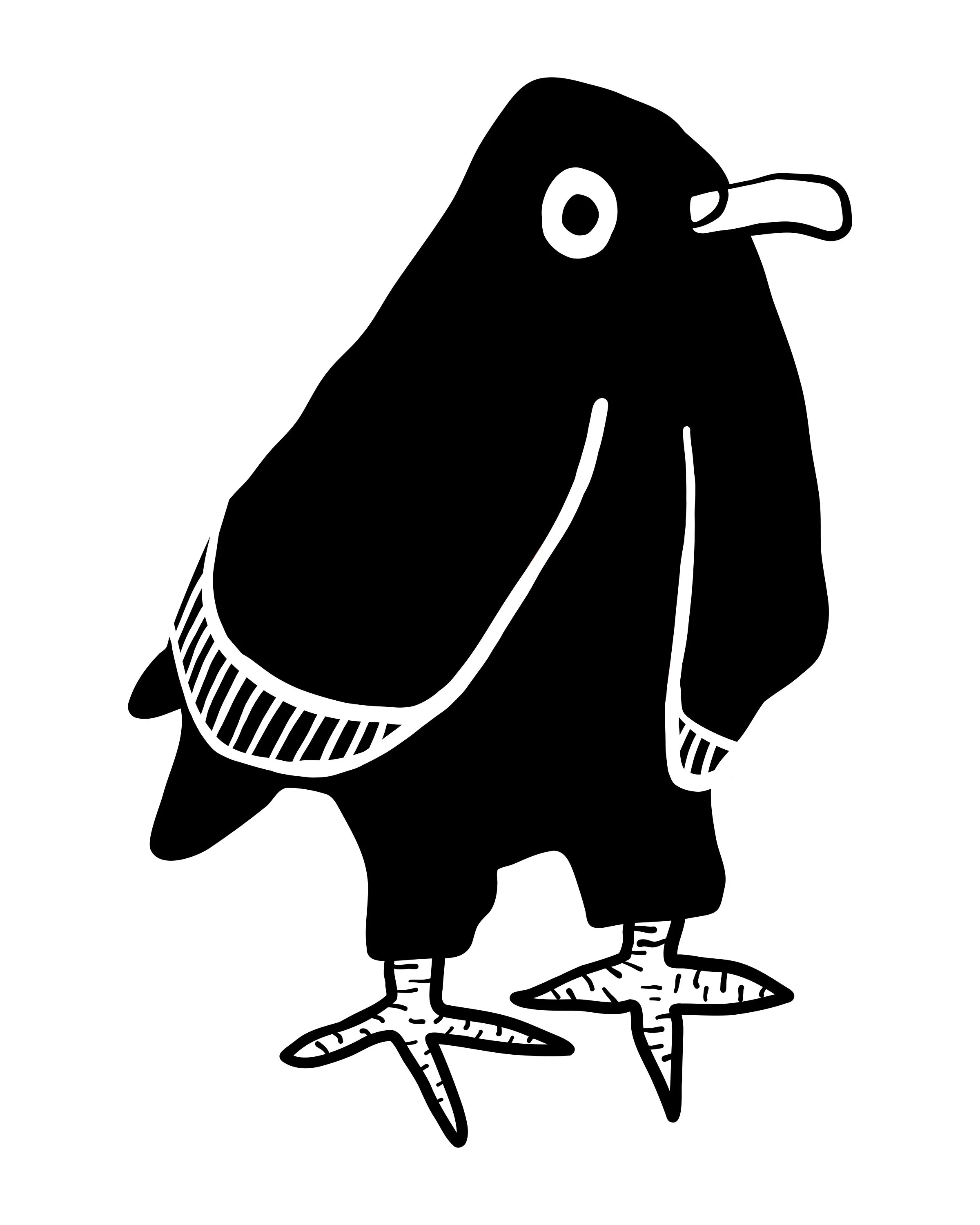 Bird nerd and doodles 2.jpg