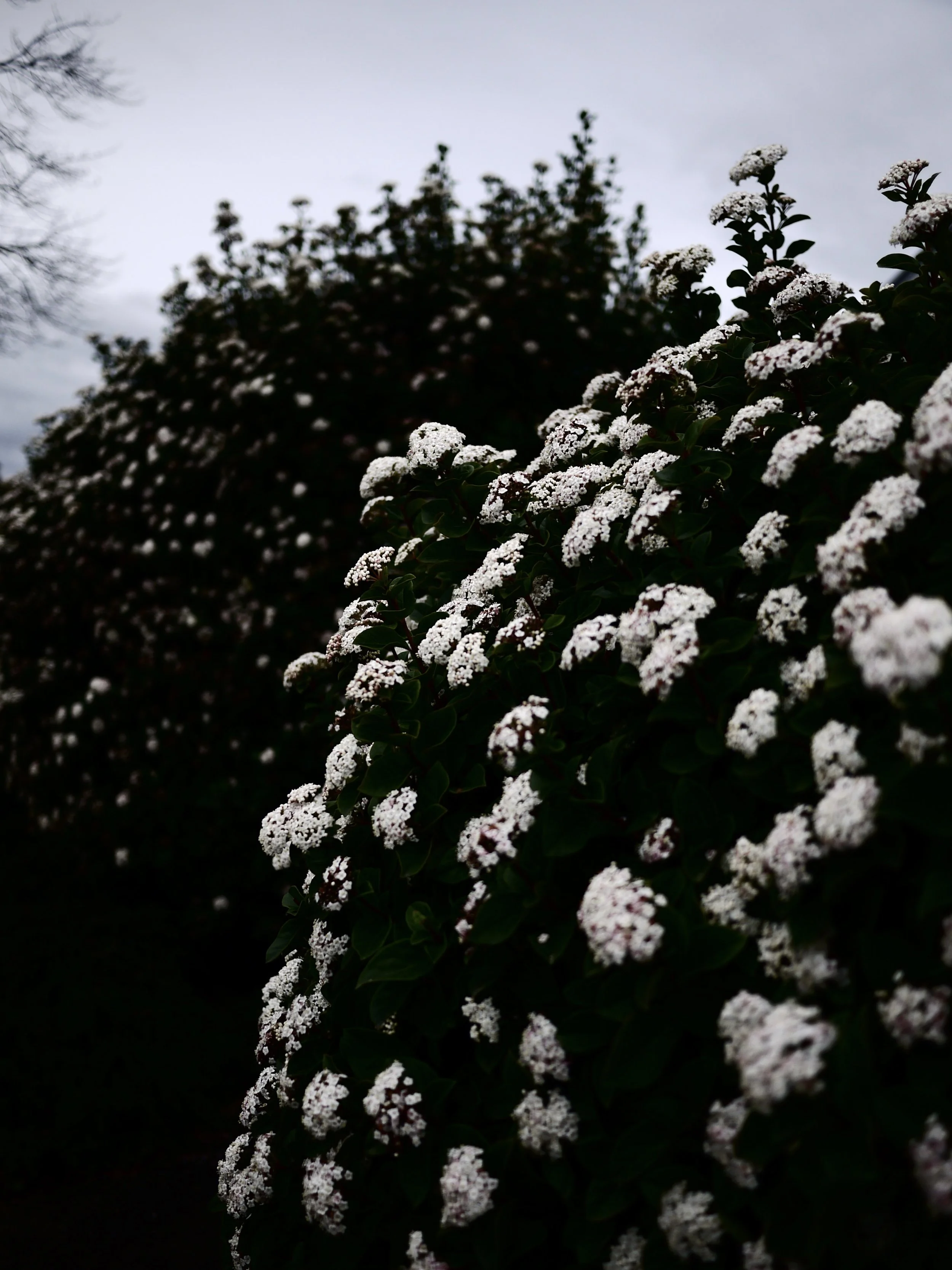 Springtime
