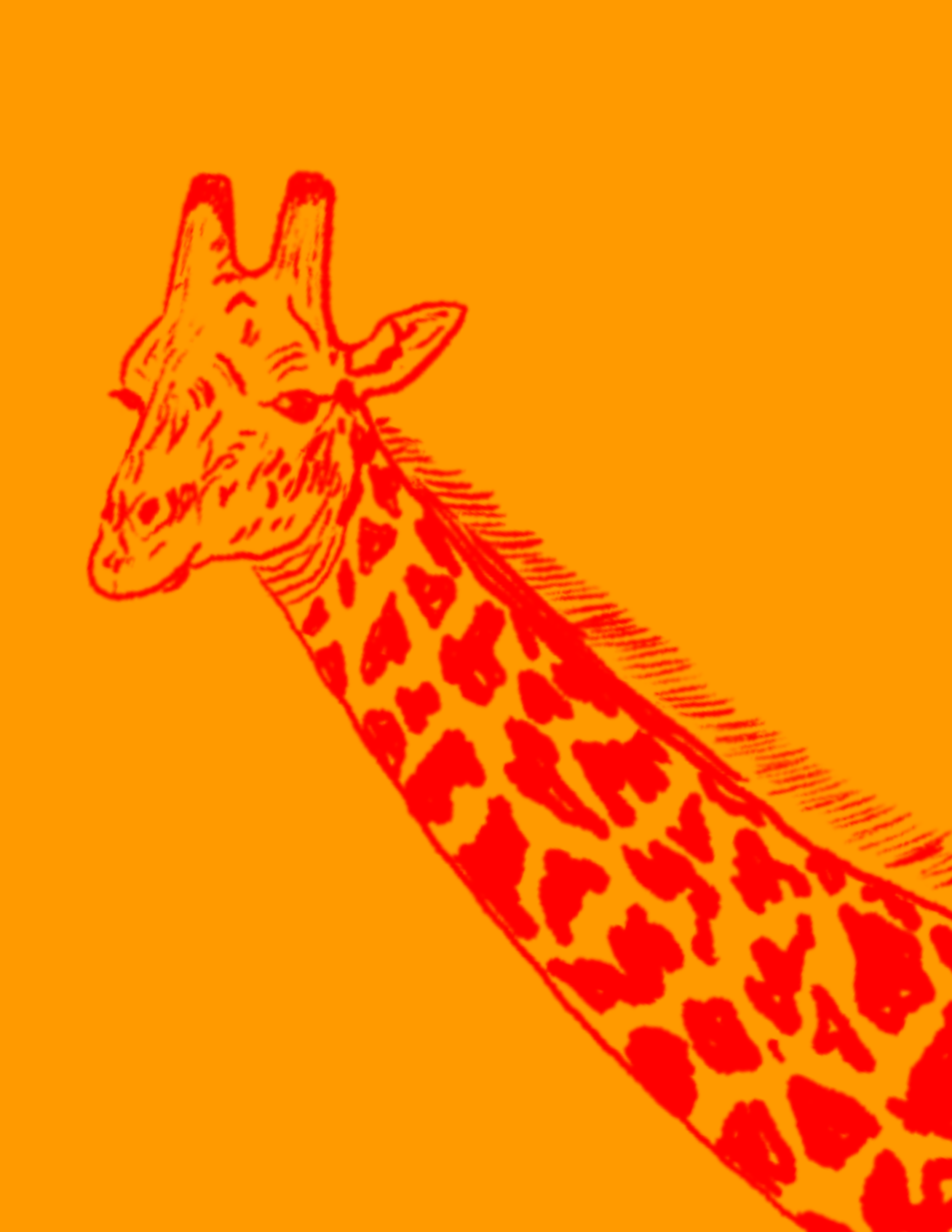 Giraffes.png