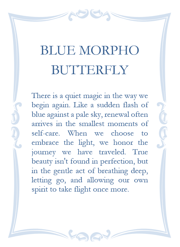 Screenshot 2026-02-15 081952.png