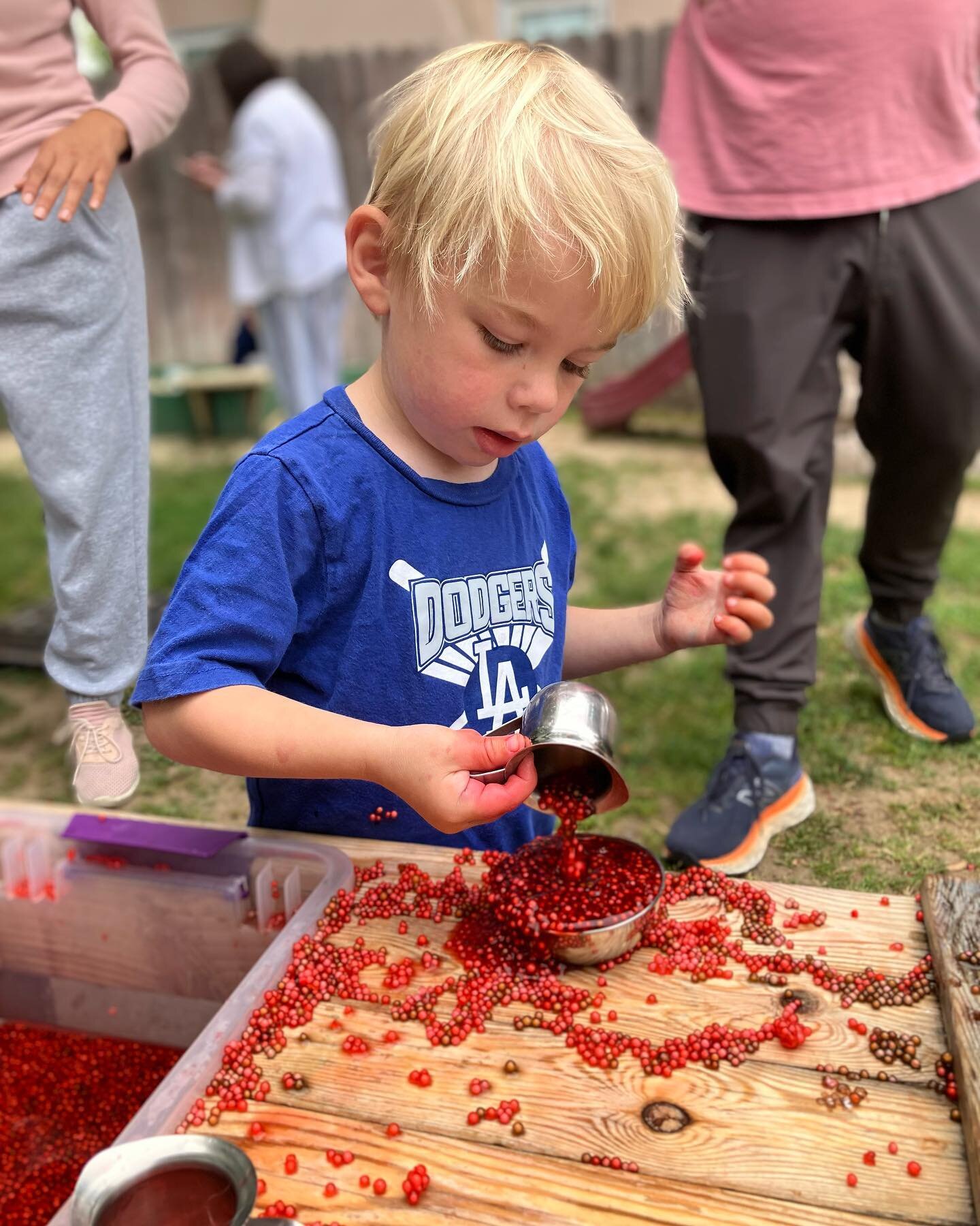 This is a tapioca appreciation post!!! We played with raw dyed tapioca last week and that was fun but it was nothing compared to the fun and exploration that ensued once we offered cooked tapioca in our sensory bins this week!!! It feels like a milli