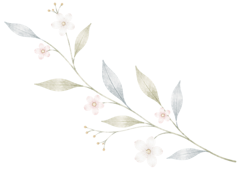 branch of leaves and delicate flowers