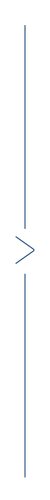 vertical line with arrow facing right