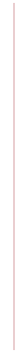 pink thin vertical line