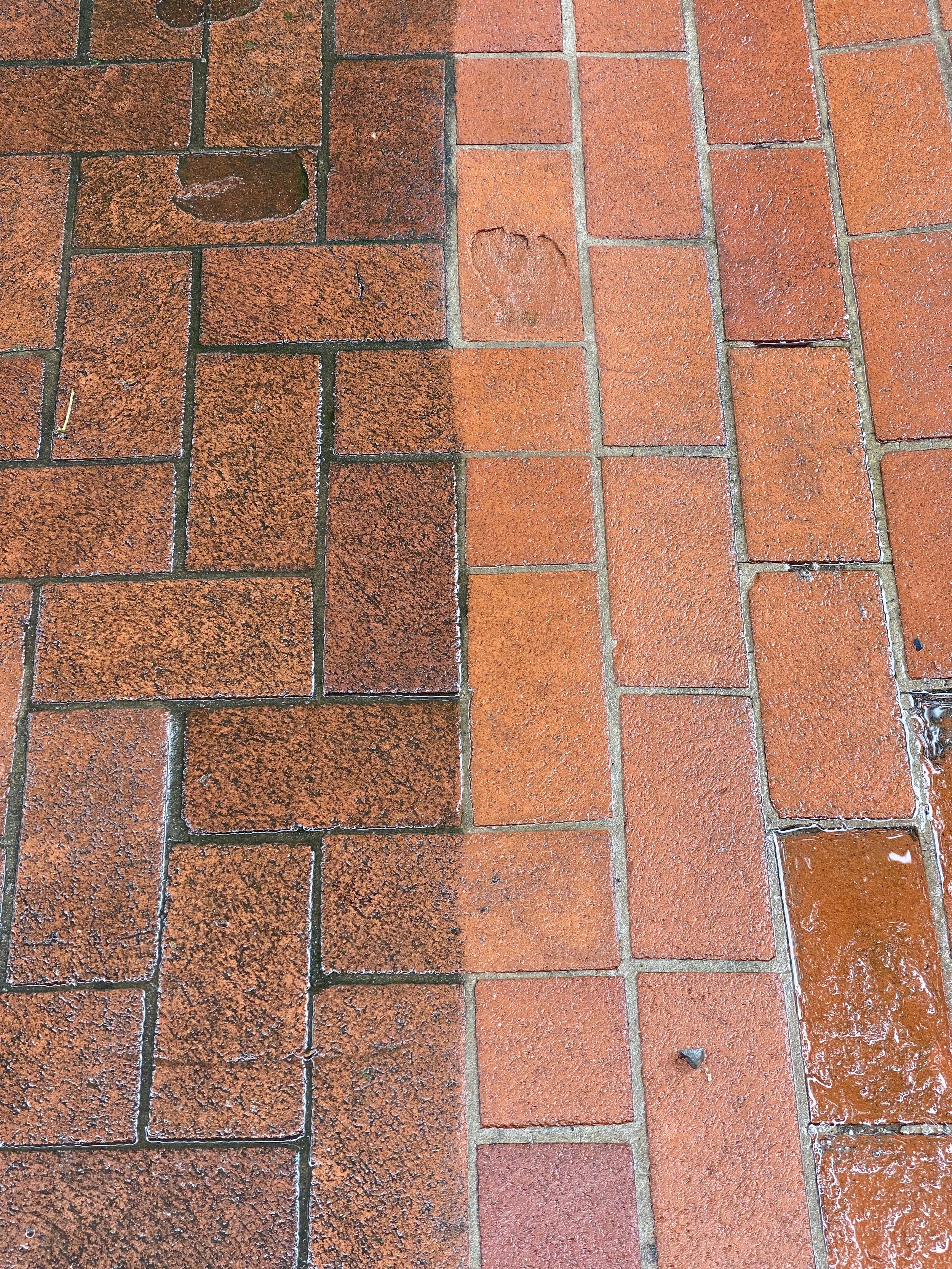 IMG_9099.jpeg