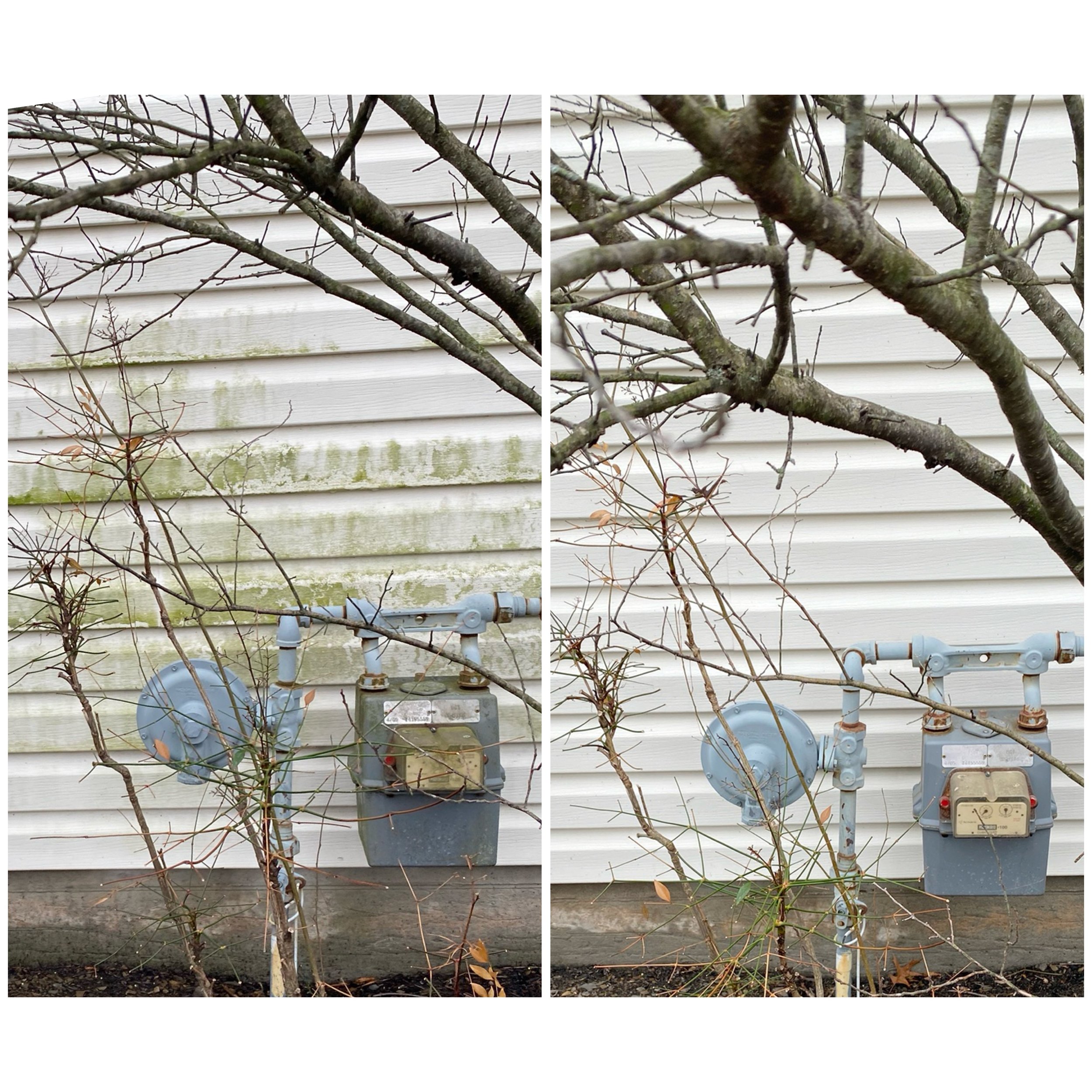 IMG_8096_Original.jpeg