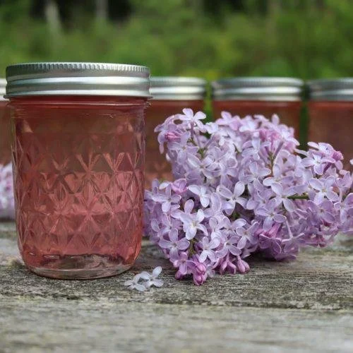 Pint jars of light pink lilac jelly