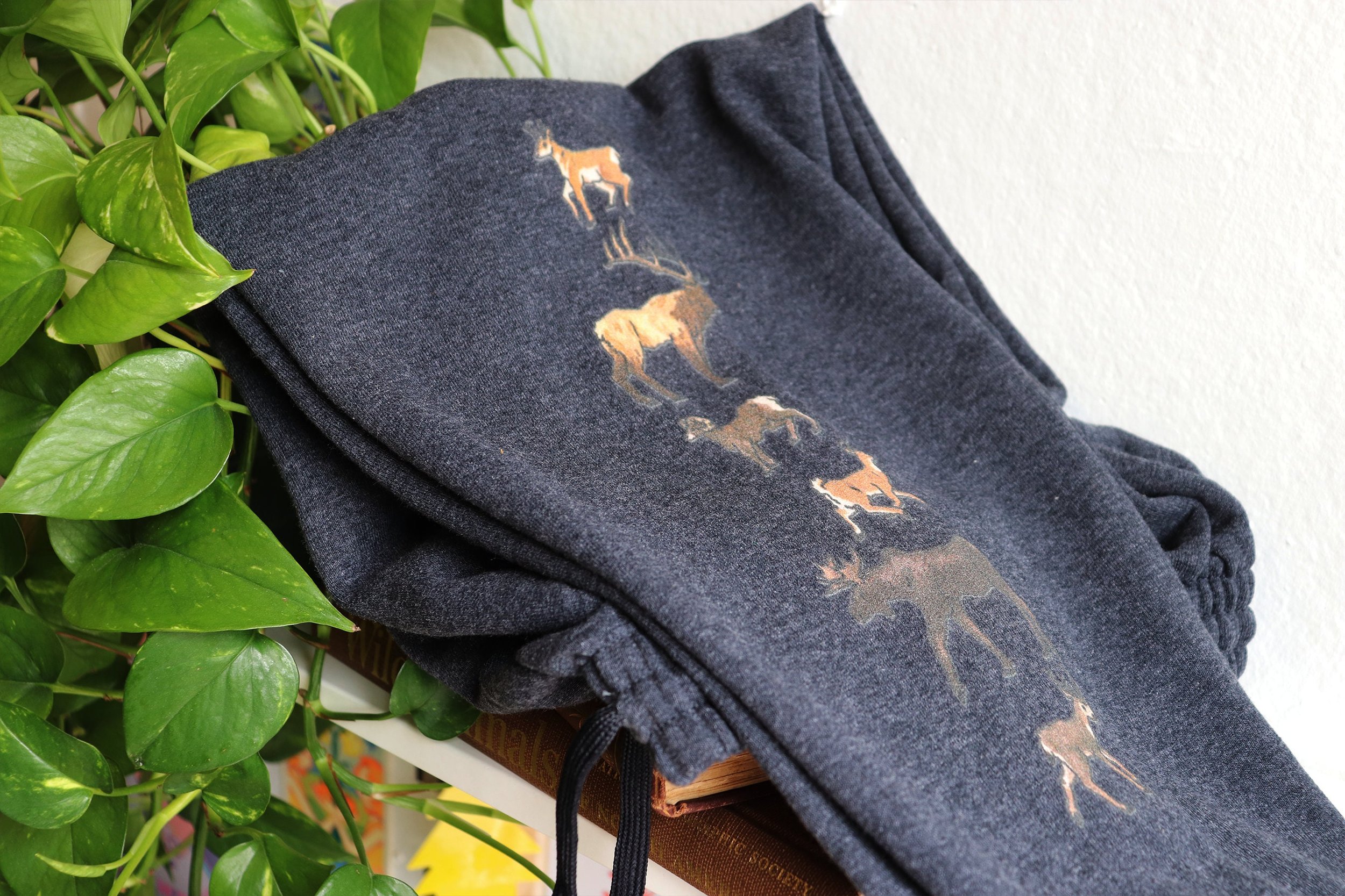 https://i.etsystatic.com/32836342/r/il/035c82/3918453981/il_fullxfull.3918453981_fziu.jpg