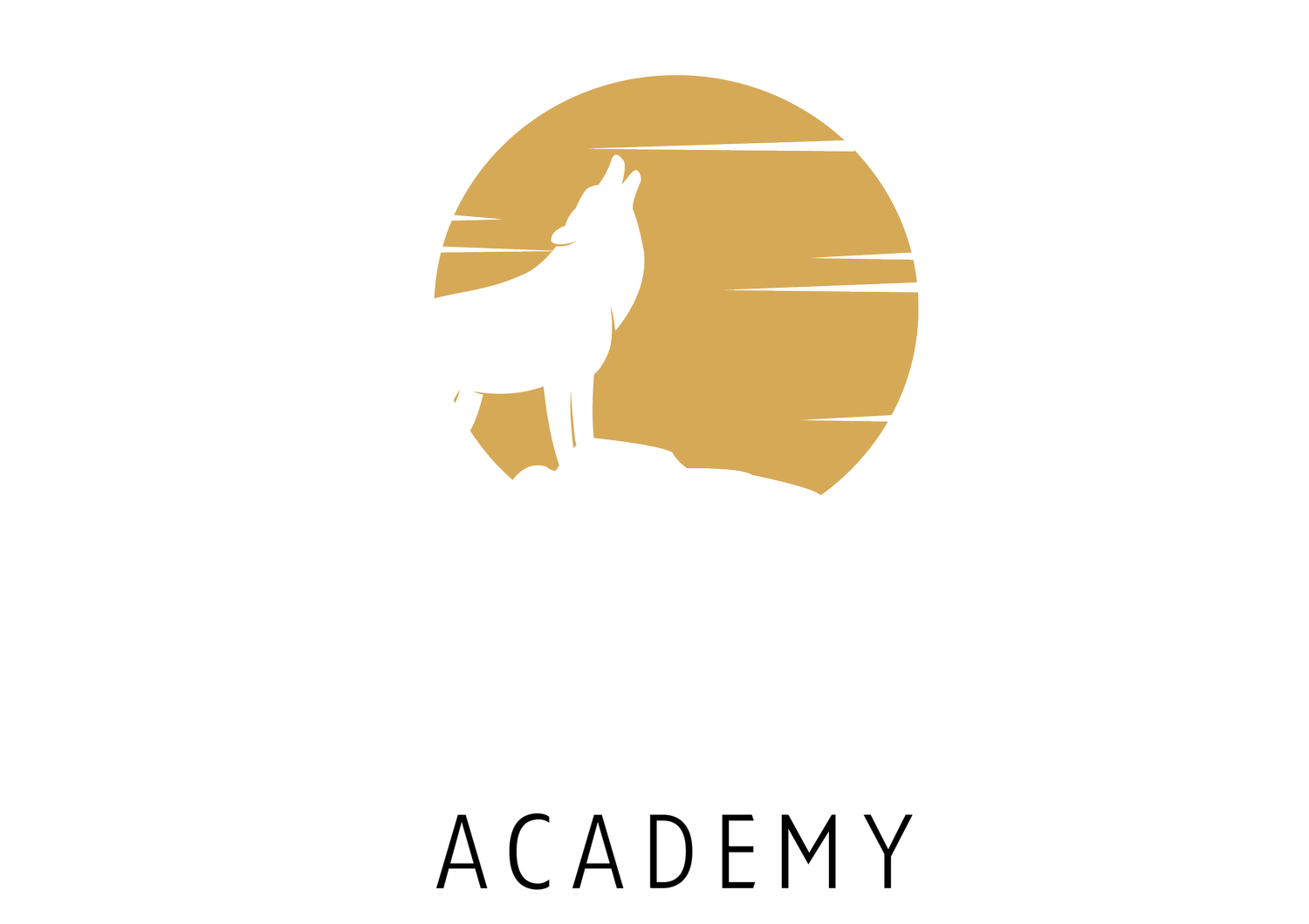 Coyote Academy   