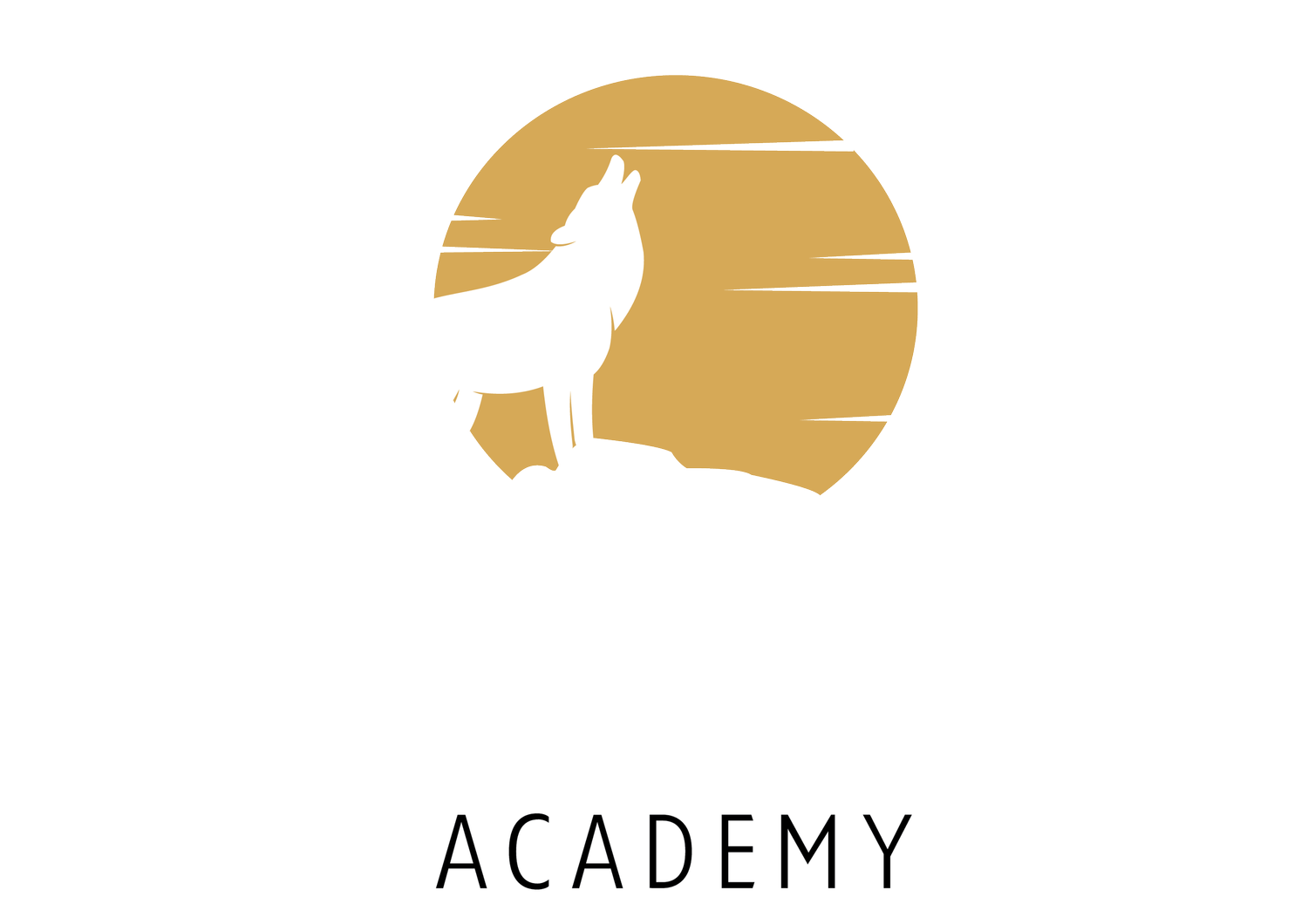 Coyote Academy   