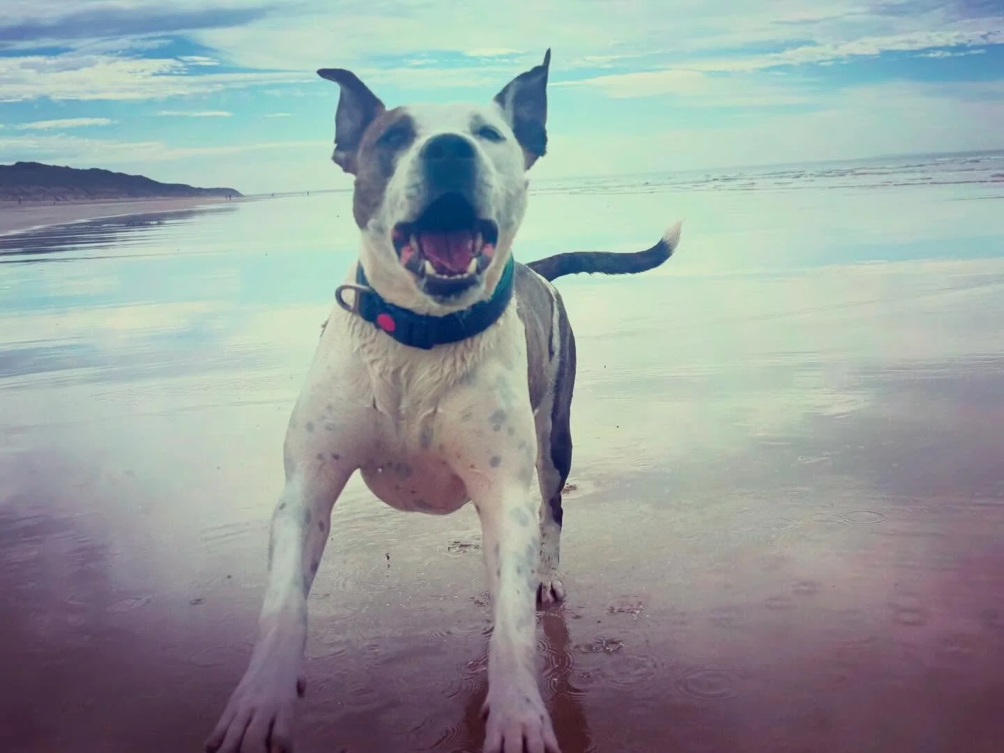 We took a 4-hour round trip to the beach.

So worth it 🤗