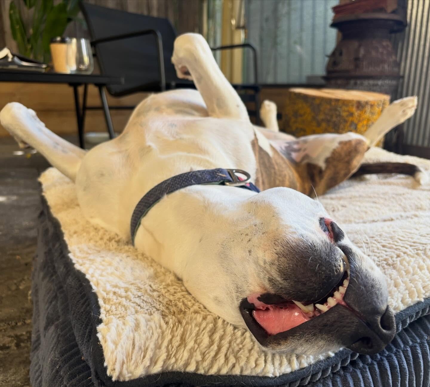 My beautiful daughter 🩷