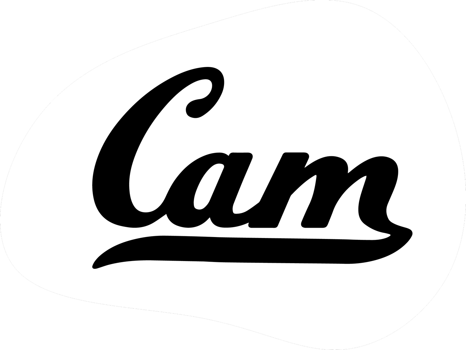 Cameron Chaney