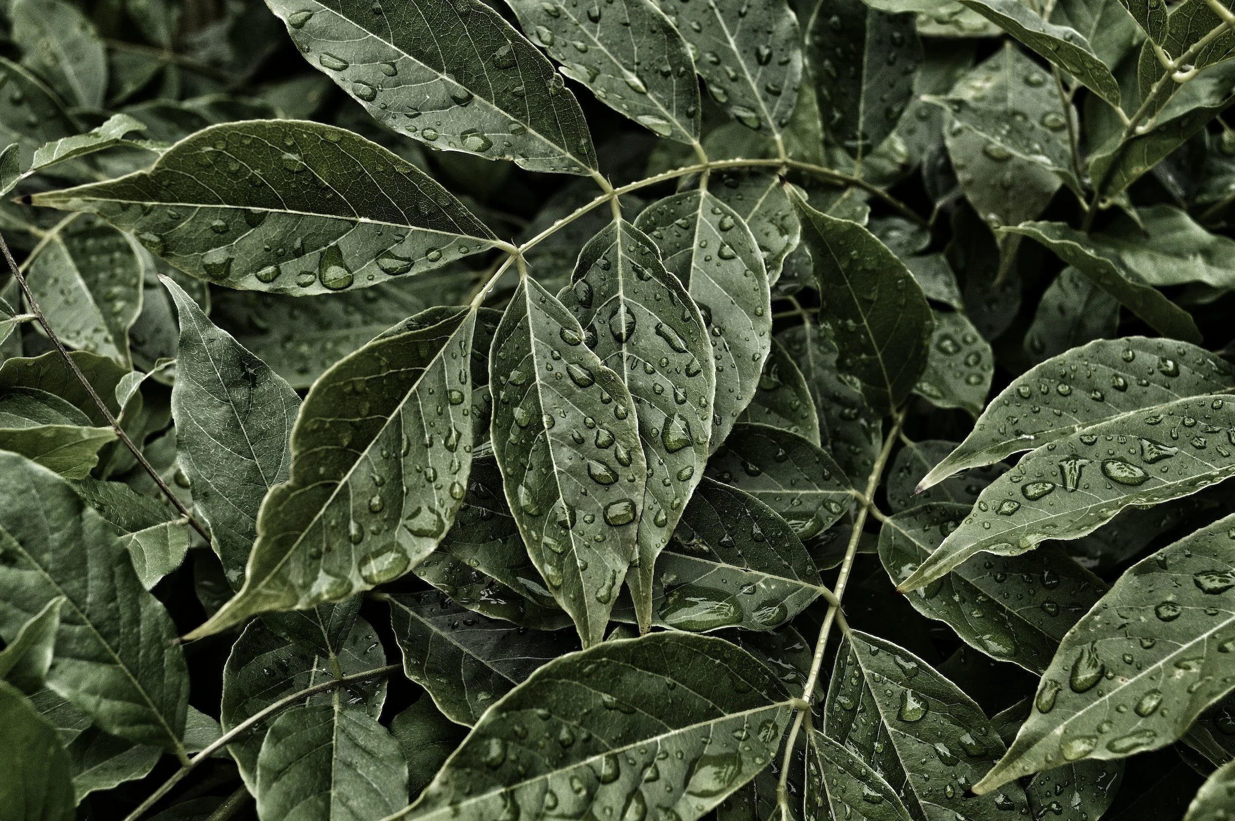 unsplash-image-KamSS2euCzA.jpg