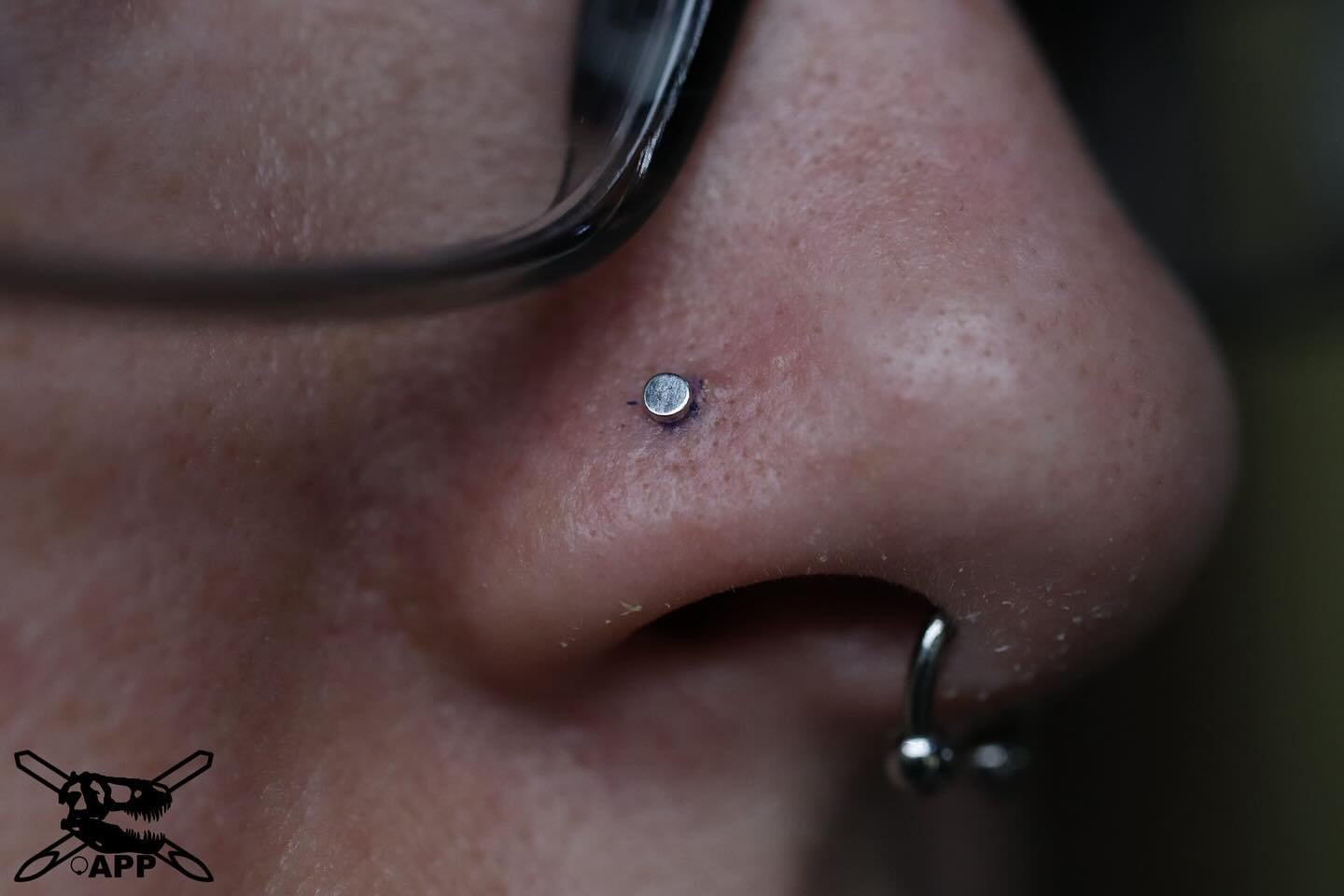 Big thanks to @kelloween31 for continually letting me stab her in the face!
🦖
🦖
🦖
#nostrilpiercing #freshpiercing #whitegold #familyoffreaks #thursday #stab #stabfolio #southflorida #safepiercing