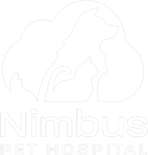 Pet Wellness Plans Near Me