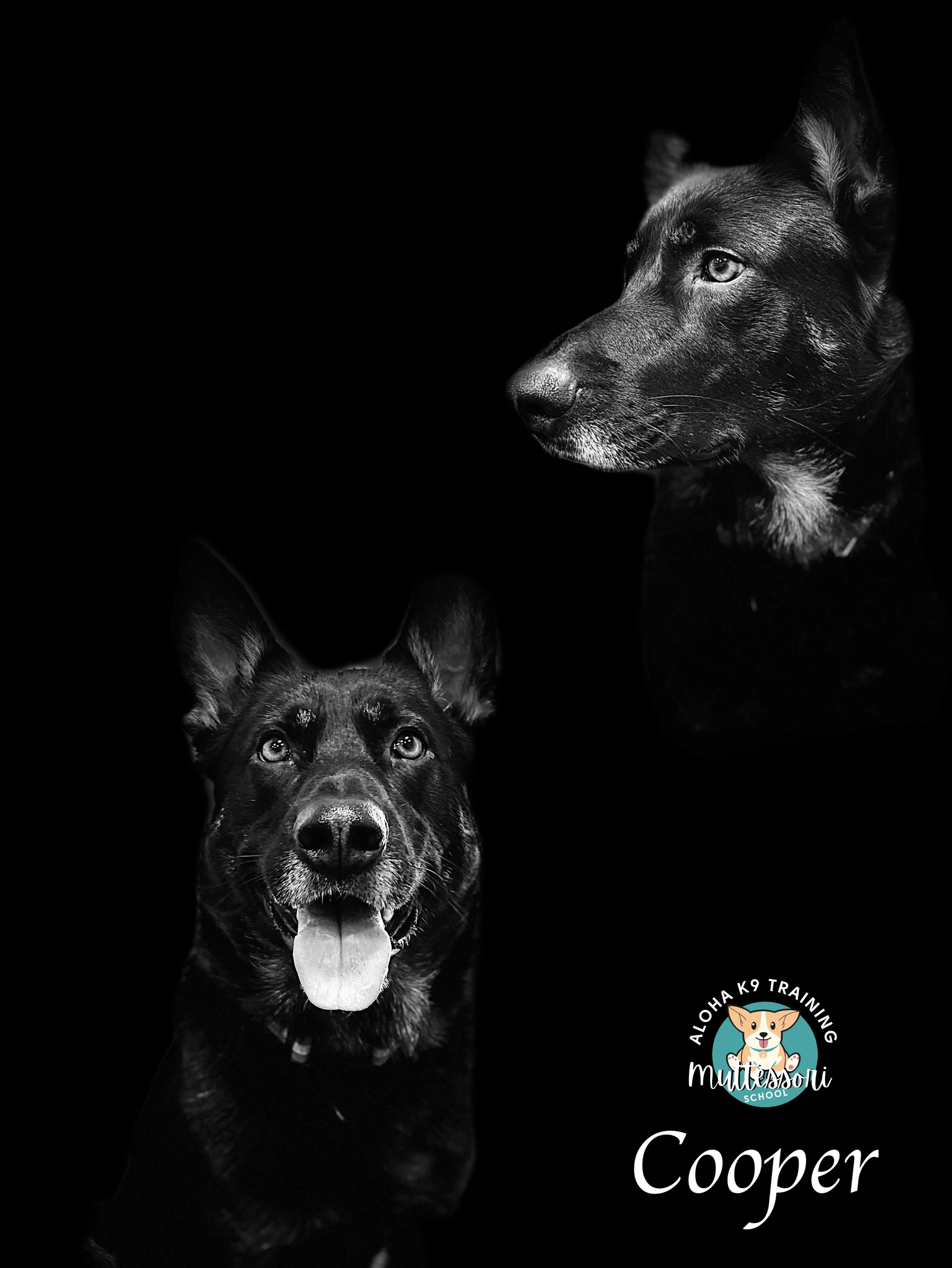 Cooper.jpeg