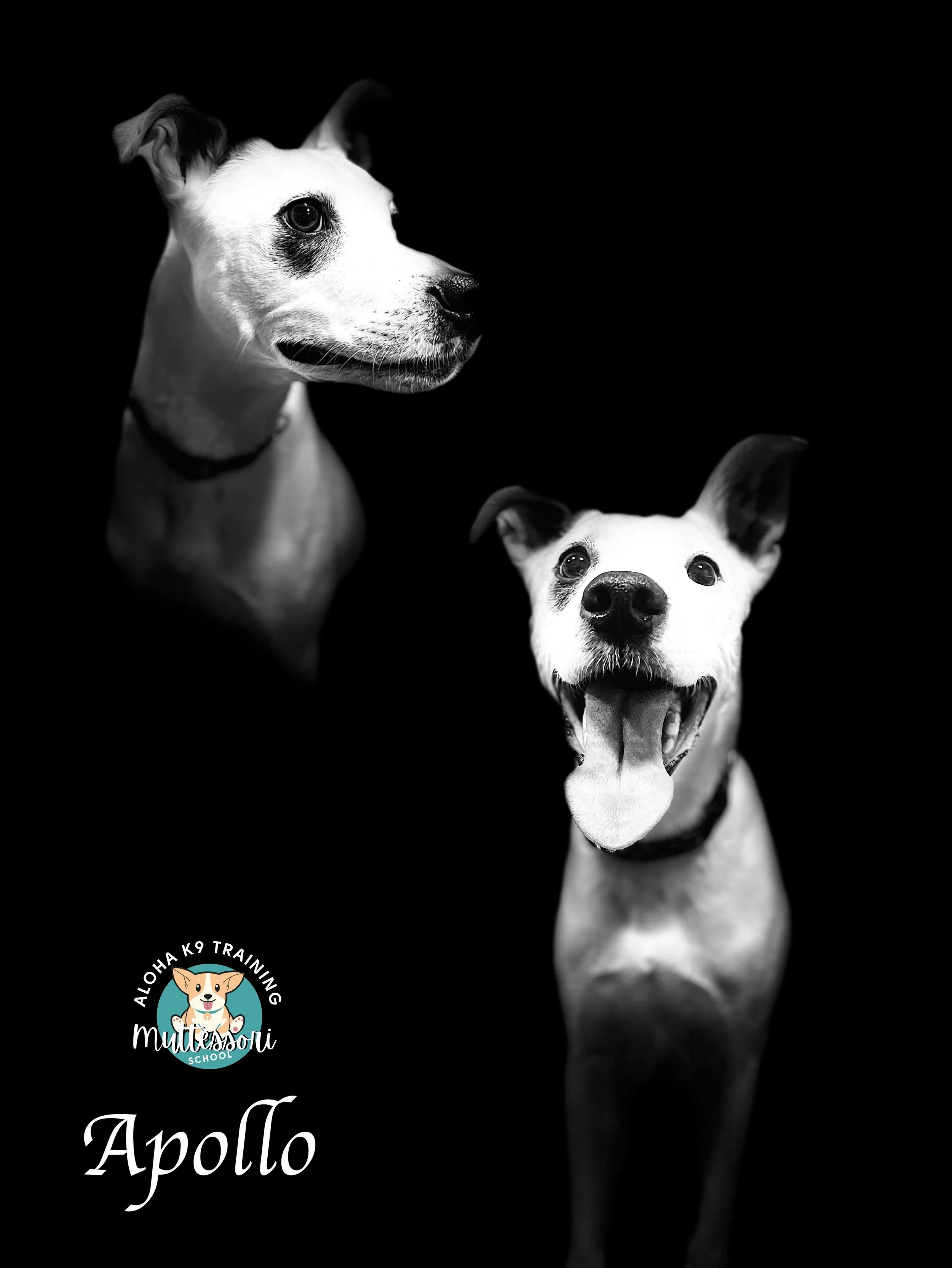 MUTTESSORI STUDENTS
2024