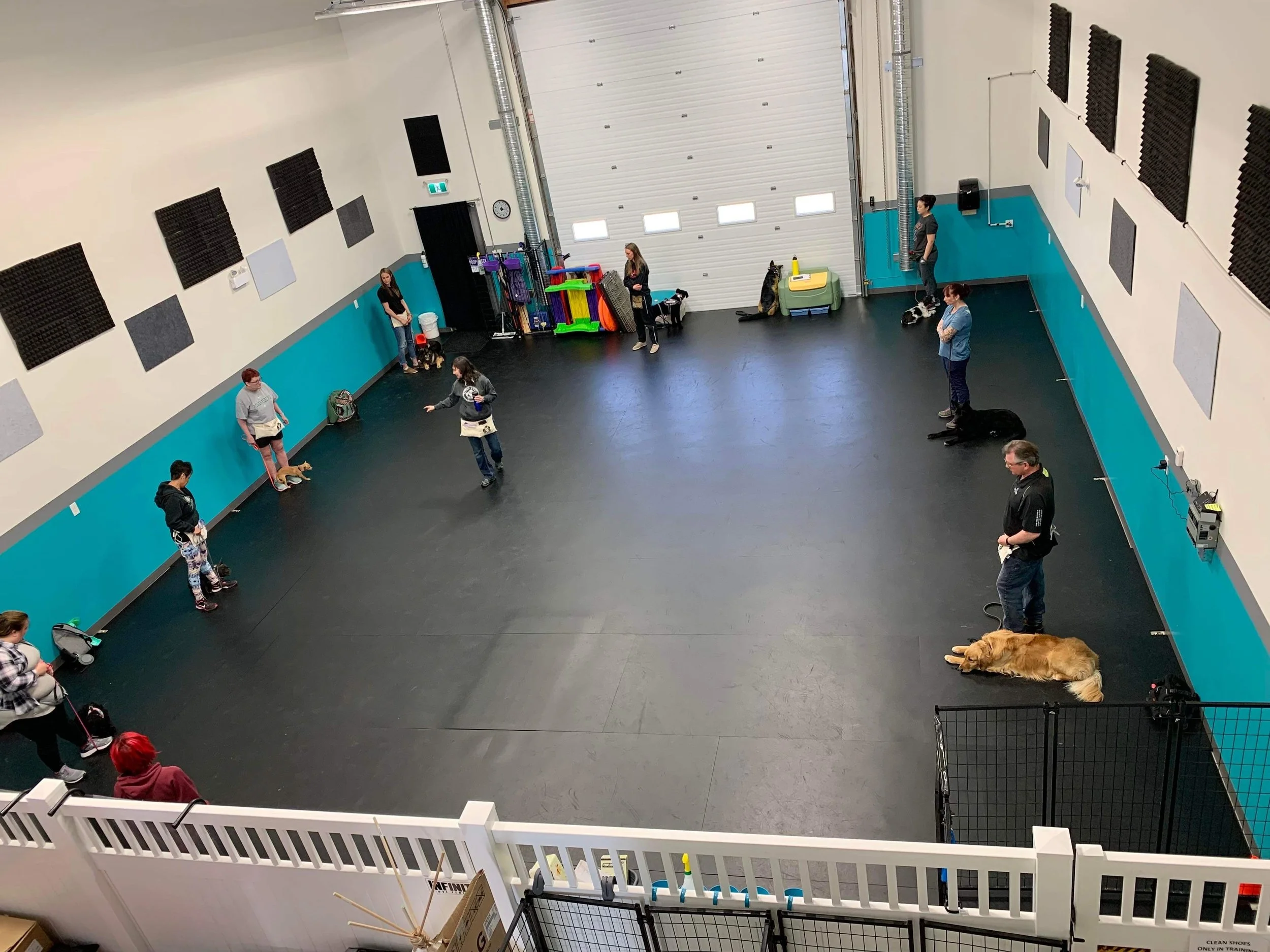 BASIC OBEDIENCE CLASSES