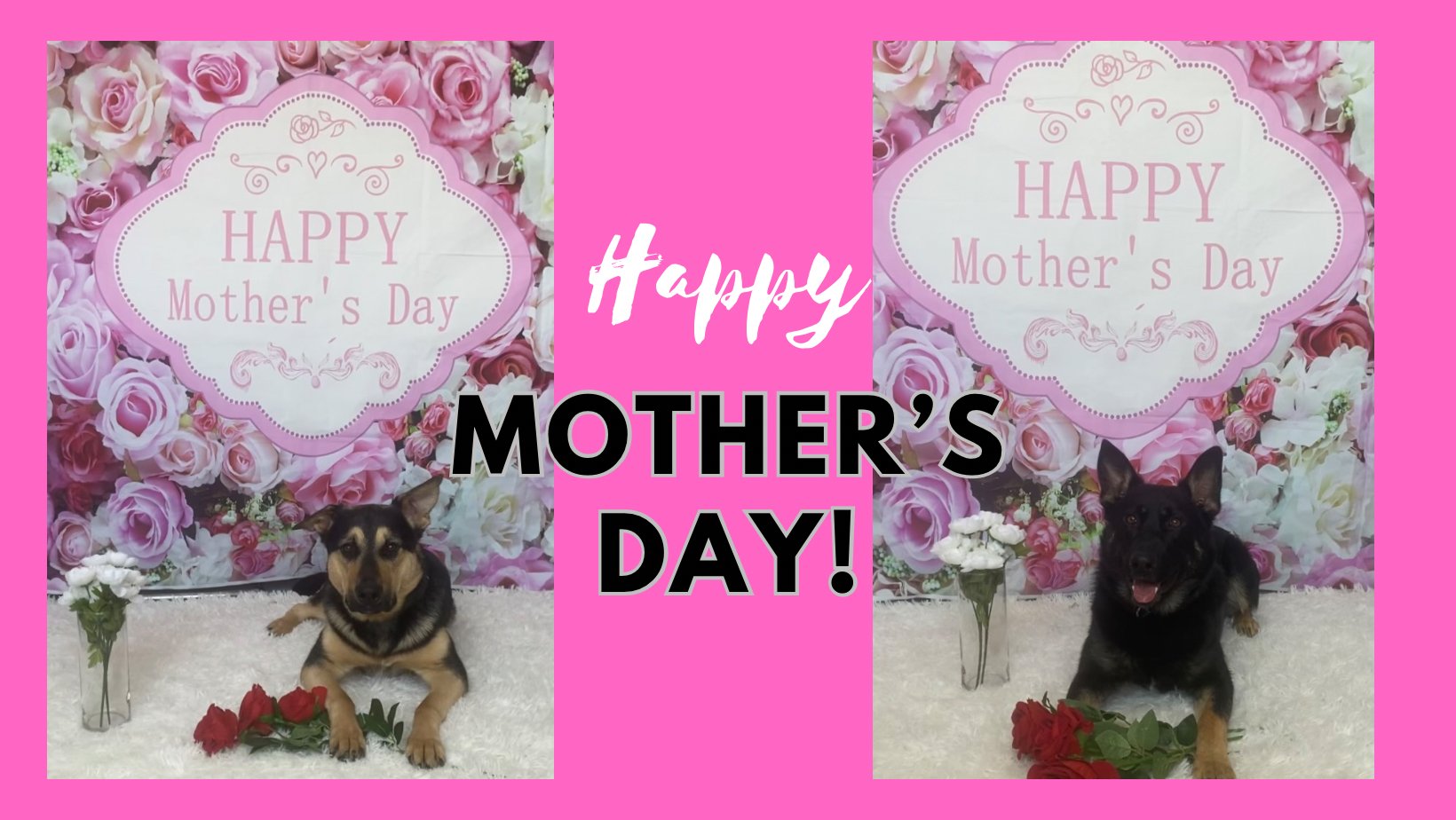 Happy Mothers Day FB banner.PNG