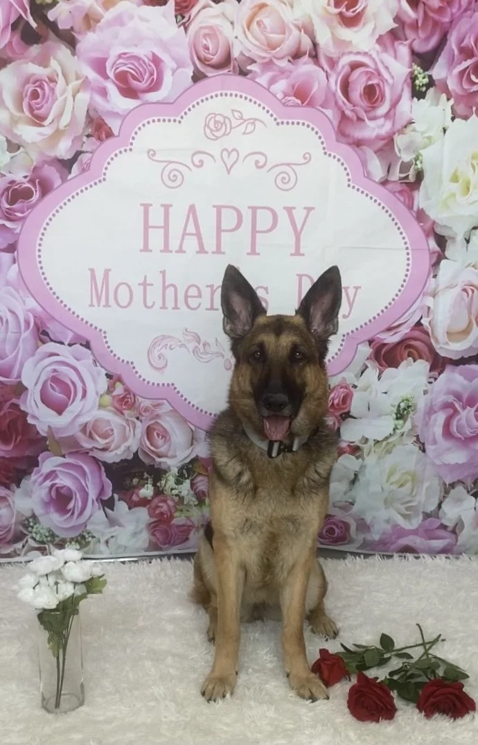 Photo 2023-05-10, 4 36 10 PM.jpg