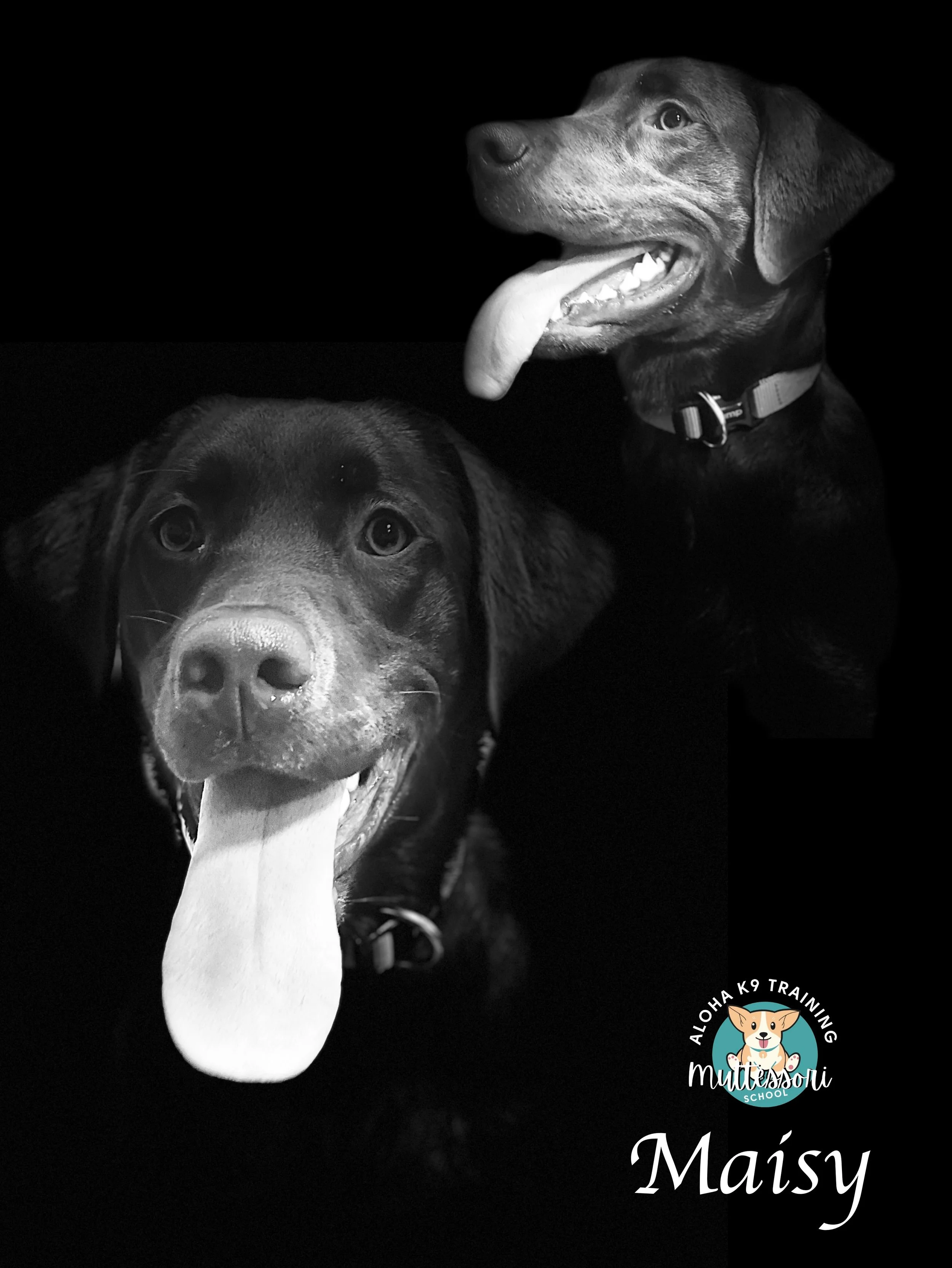 Maisy.JPEG