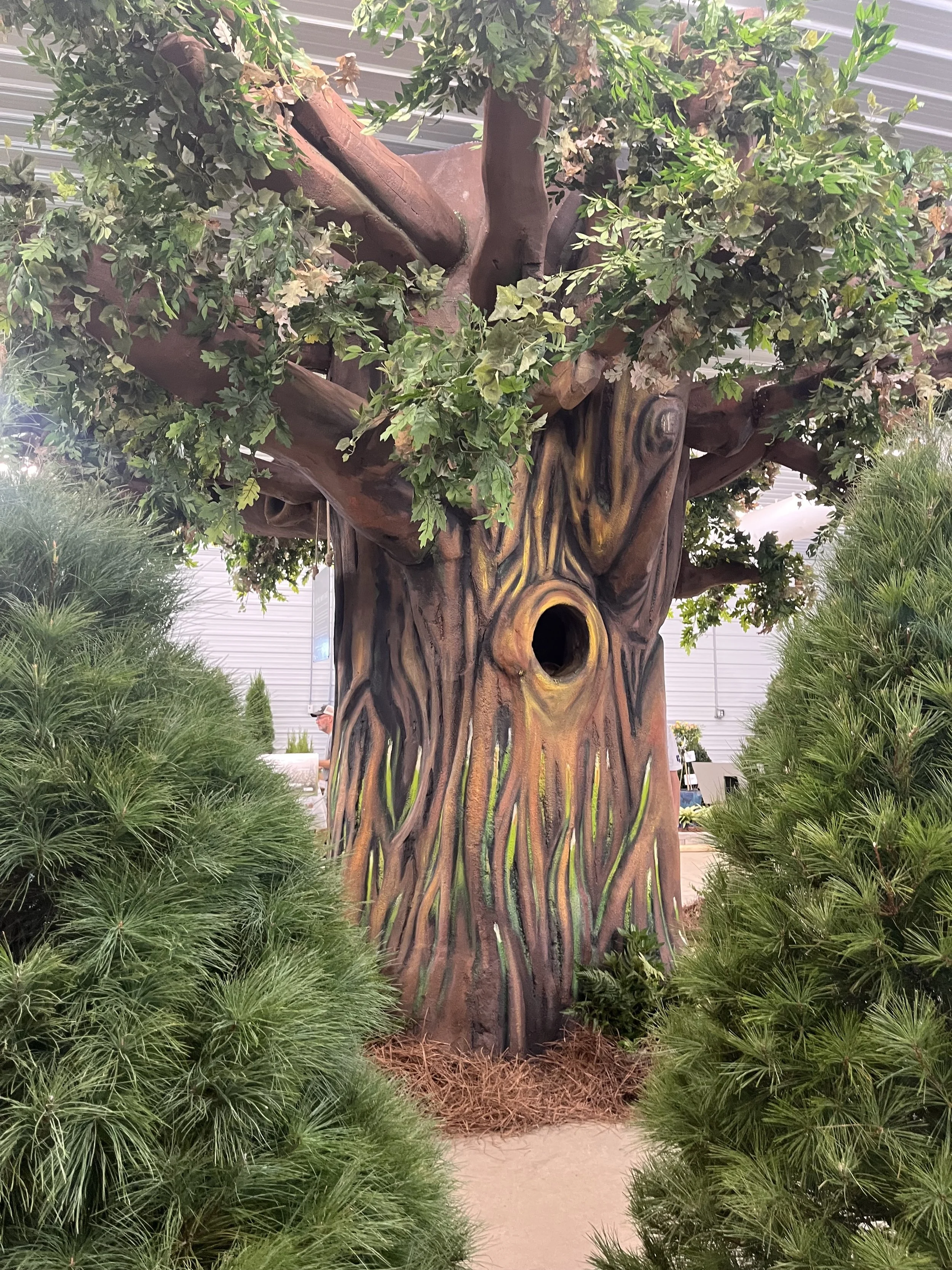 Year of Forestry Exhibit for the TN Agriculture Dept. 