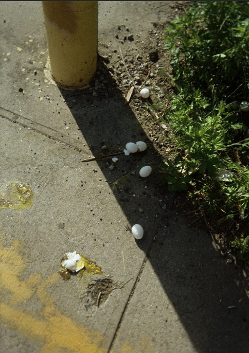 Screen Shot 2026-04-16 at 2.50.15 PM.png