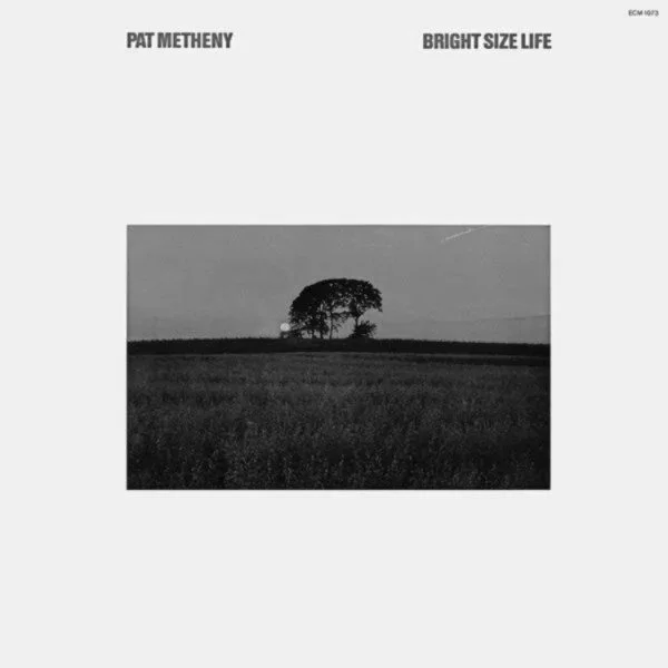 Bright Size Life turns 50!