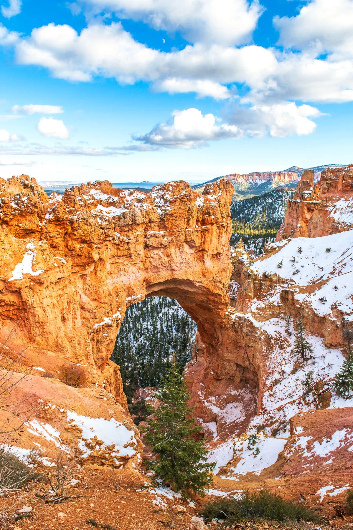 Bryce-Canyon-National-Park_15.jpg