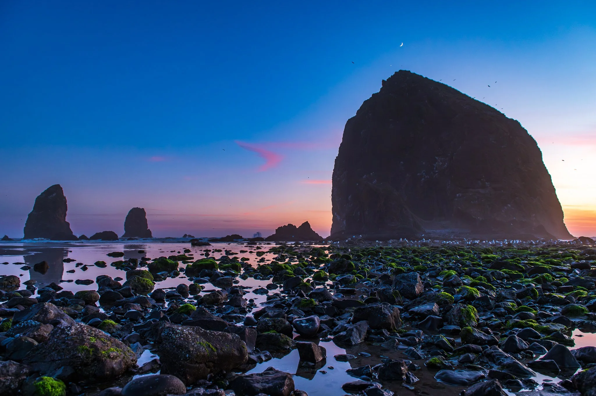 Oregon Coast
