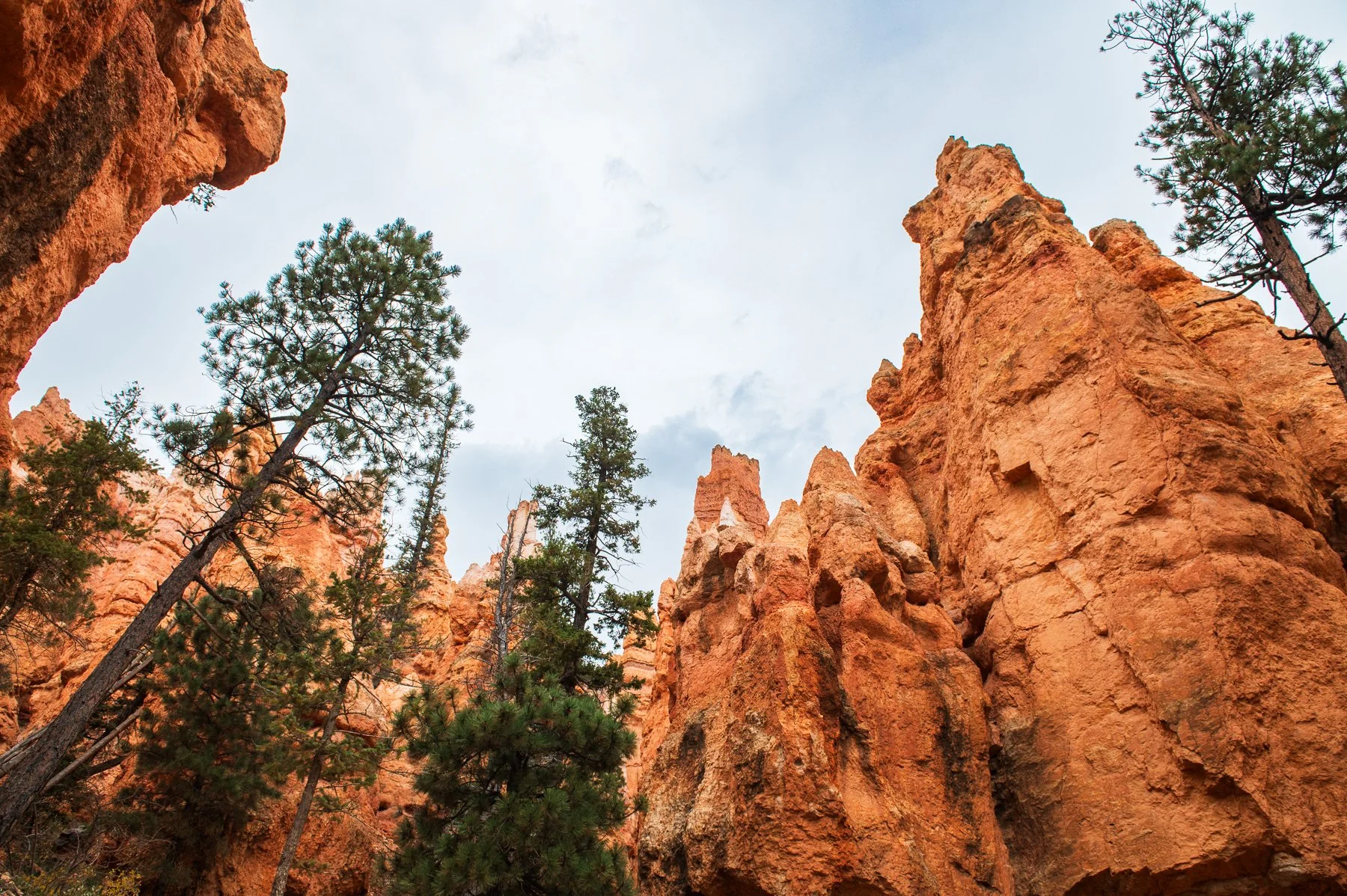Bryce-Canyon-National-Park_08.jpg
