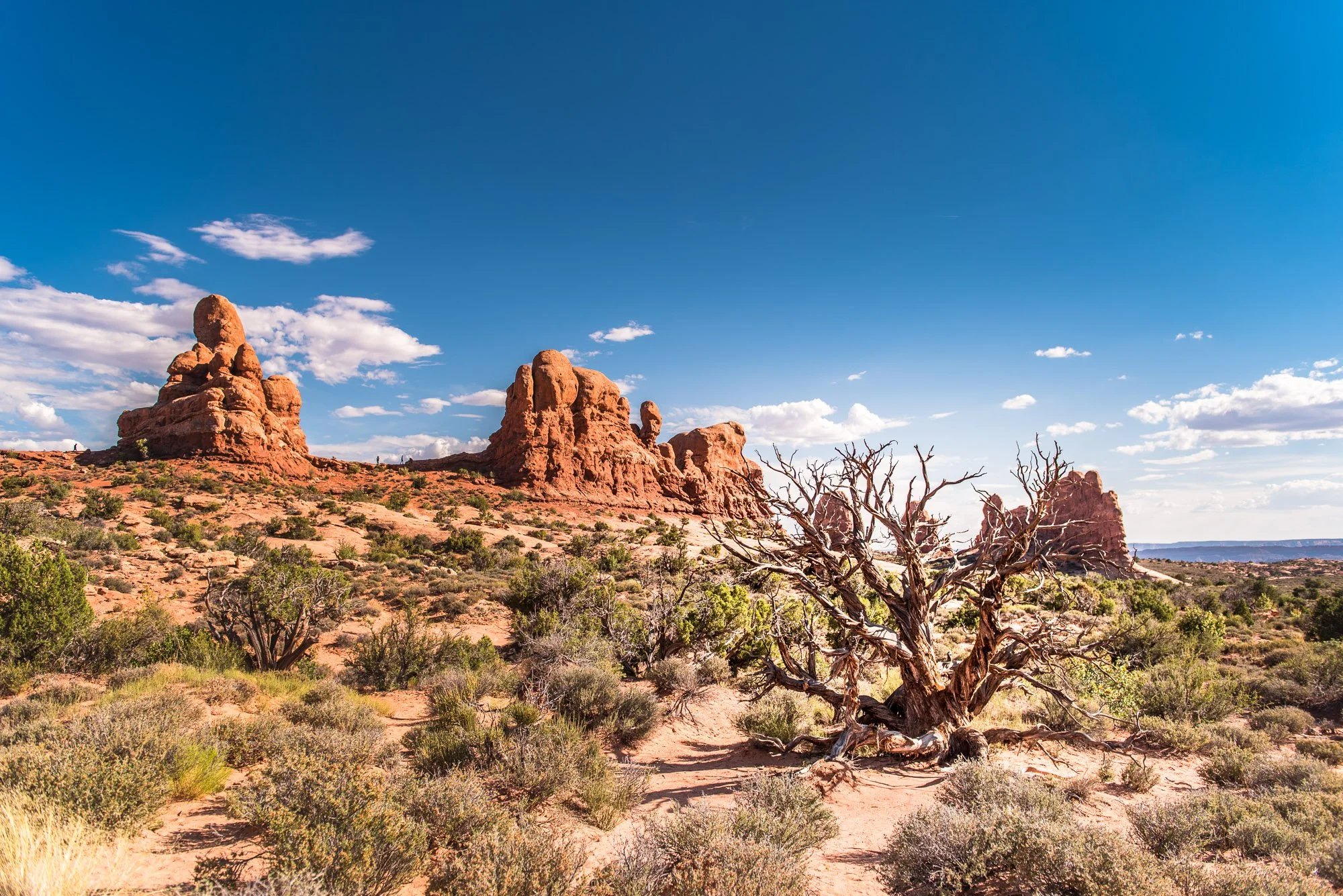 ArchesNationalPark_04.jpg