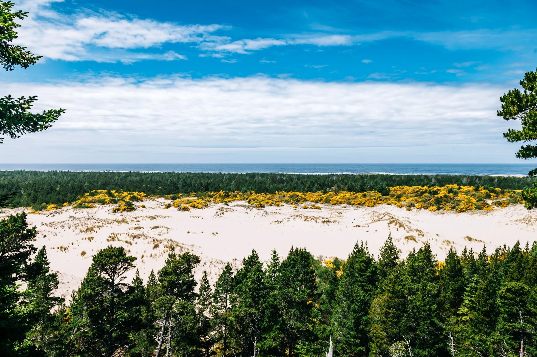 Oregon-Dunes.jpg