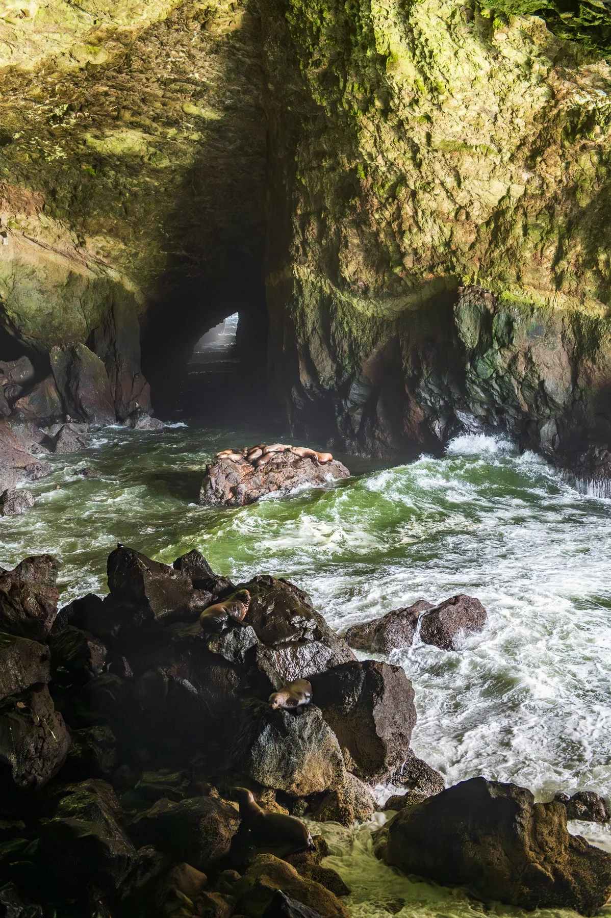 Sea-Lion-Cave.jpg