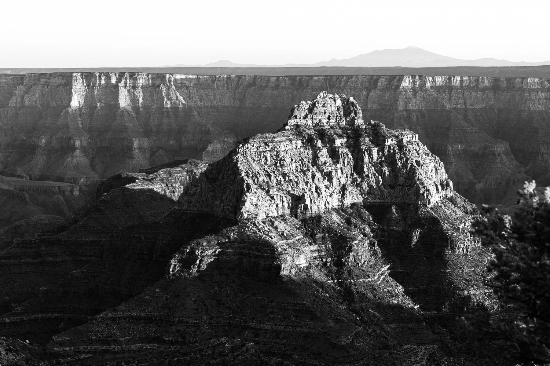 Grand-Canyon-North-Rim_09.jpg
