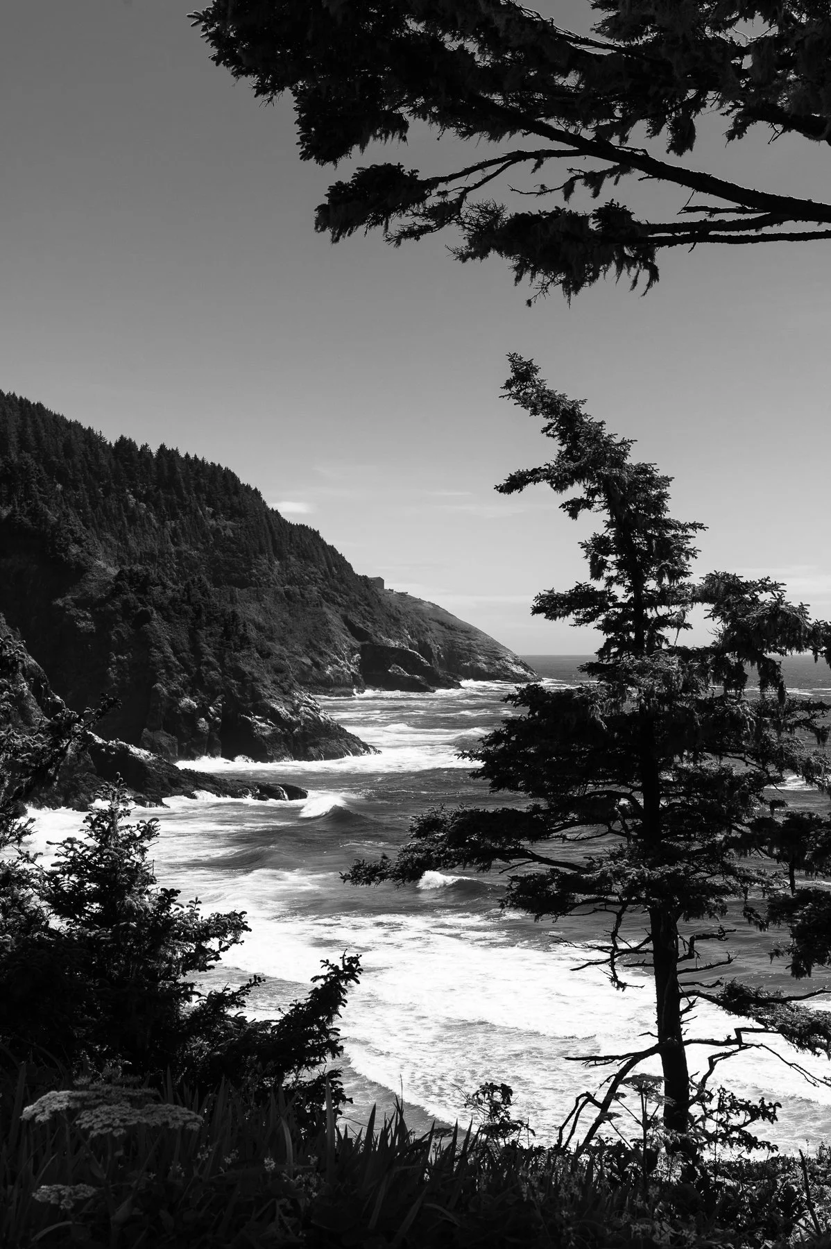 Heceta-Head-B&W.jpg
