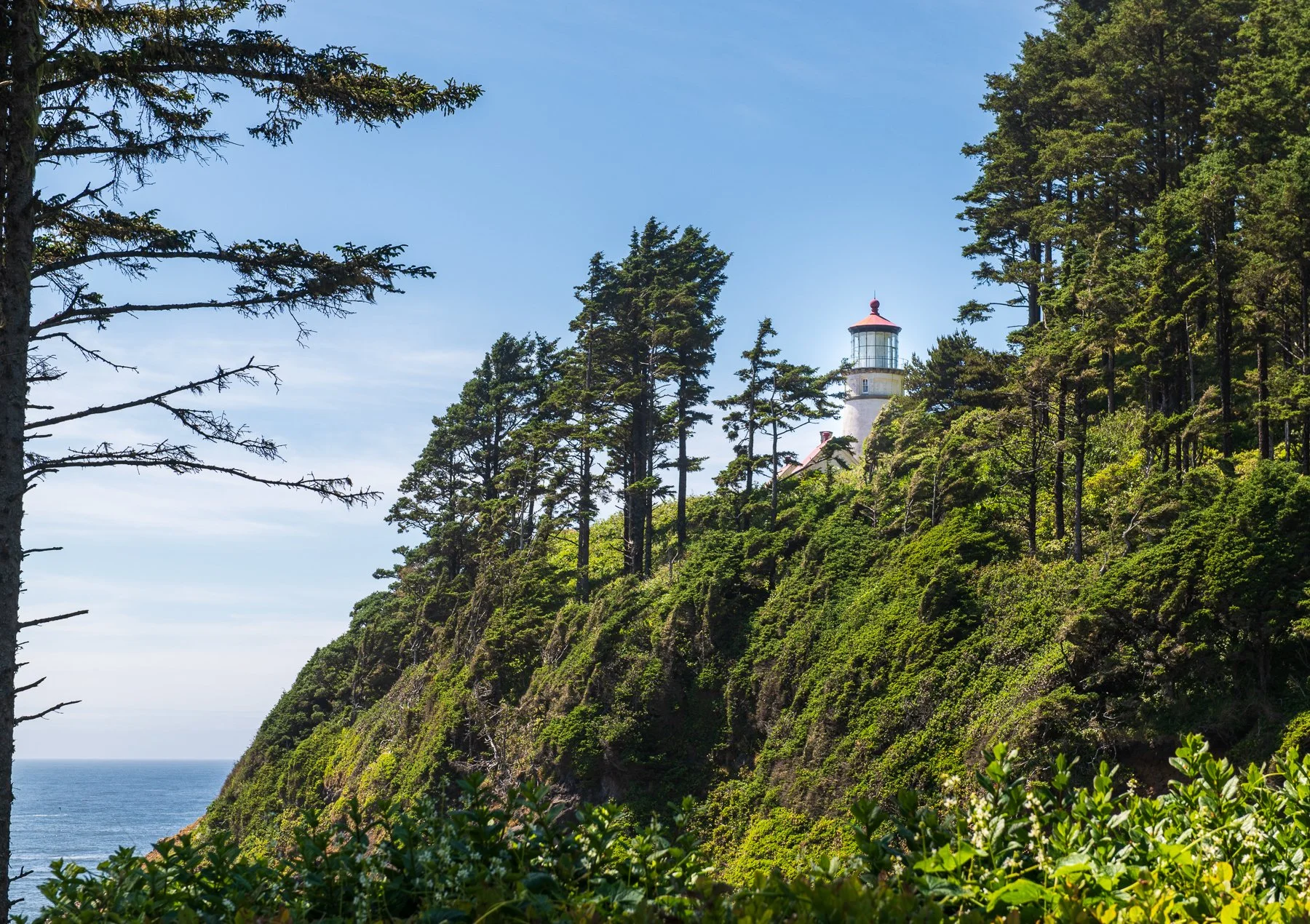 Heceta-Head-Light_03.jpg