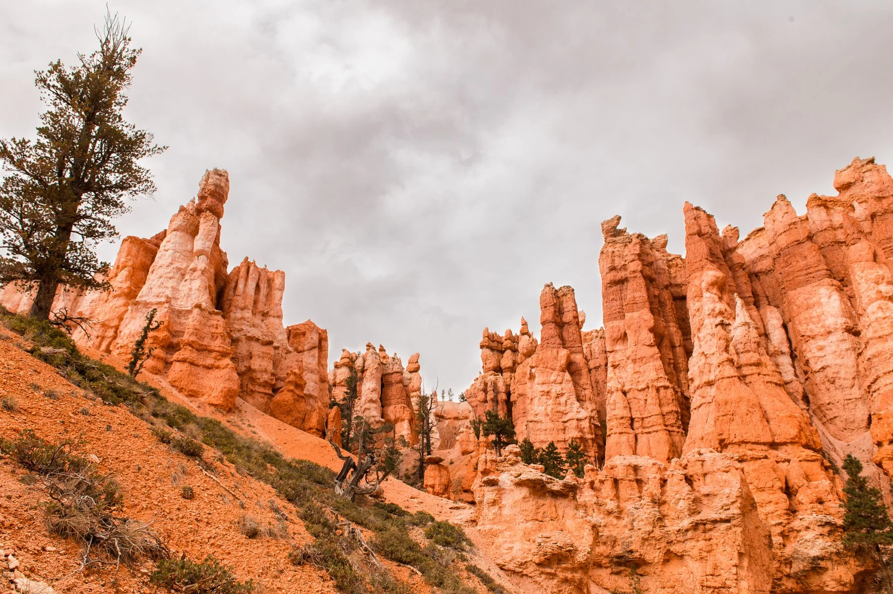 Bryce-Canyon-National-Park_03.jpg