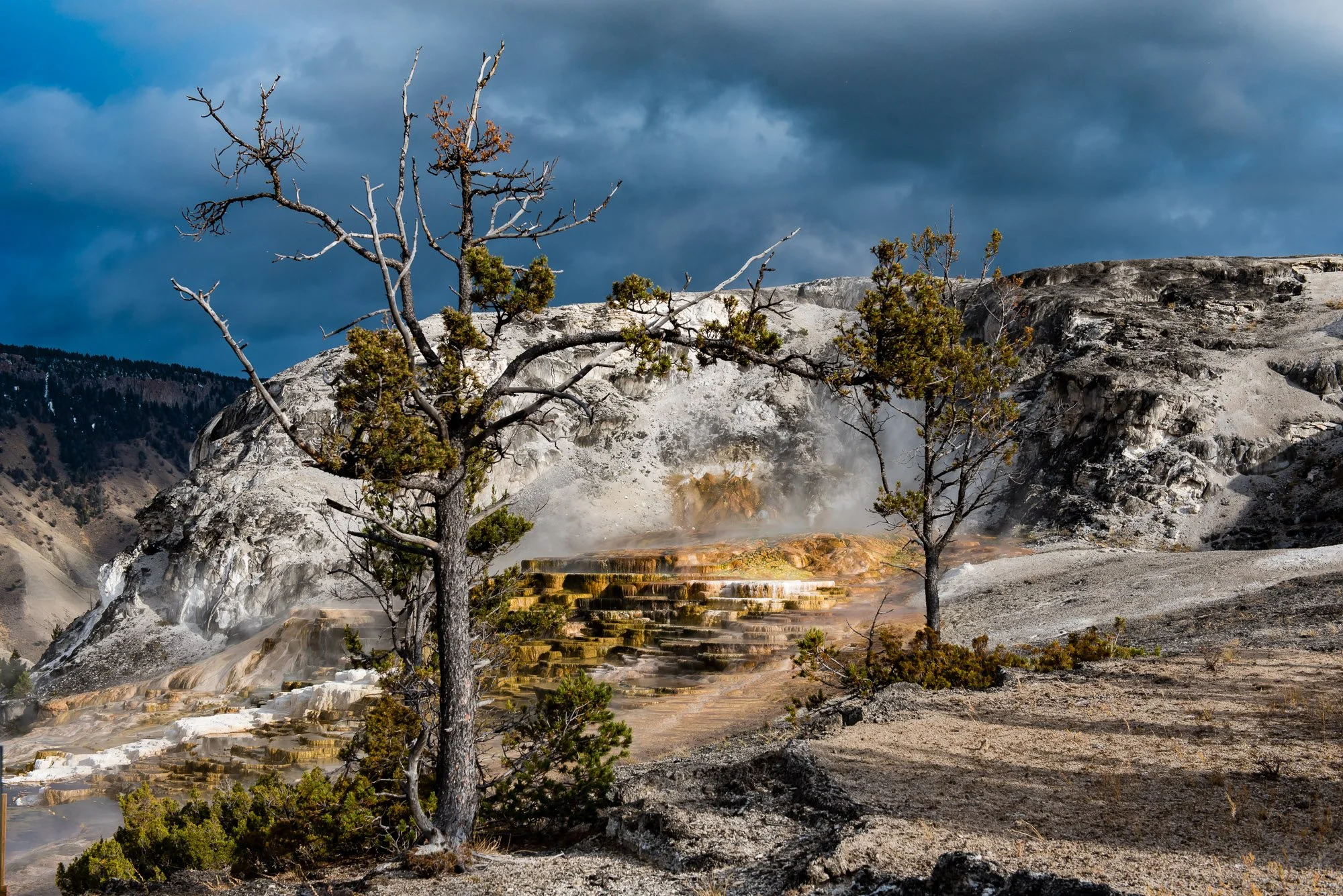 Yellowstone-National-Park_04.jpg