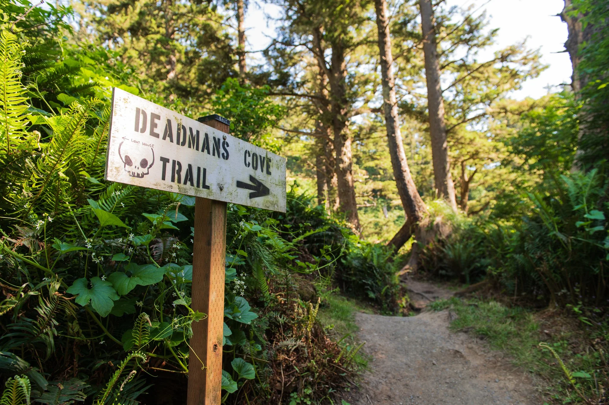 DeadmansCove_01.jpg
