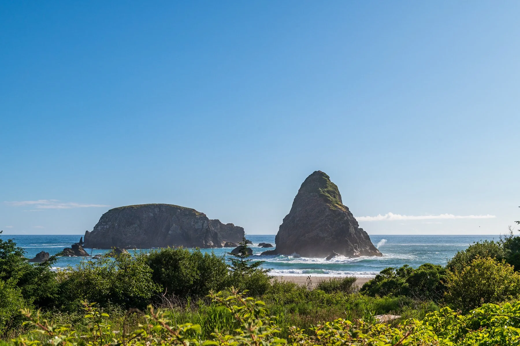 Whalehead-Rock-OR.jpg
