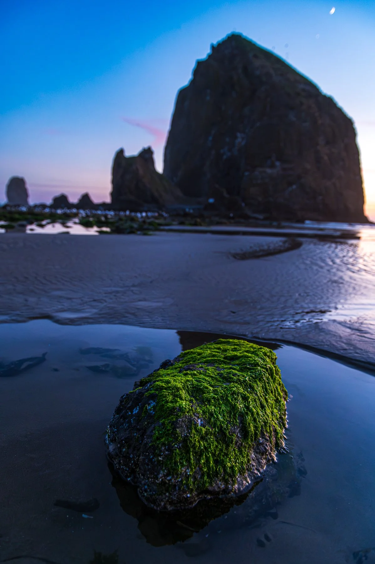 Cannon-Beach-OR_01.jpg