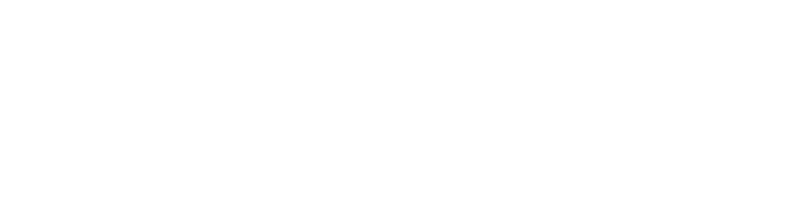 Wandering Wizard logo.