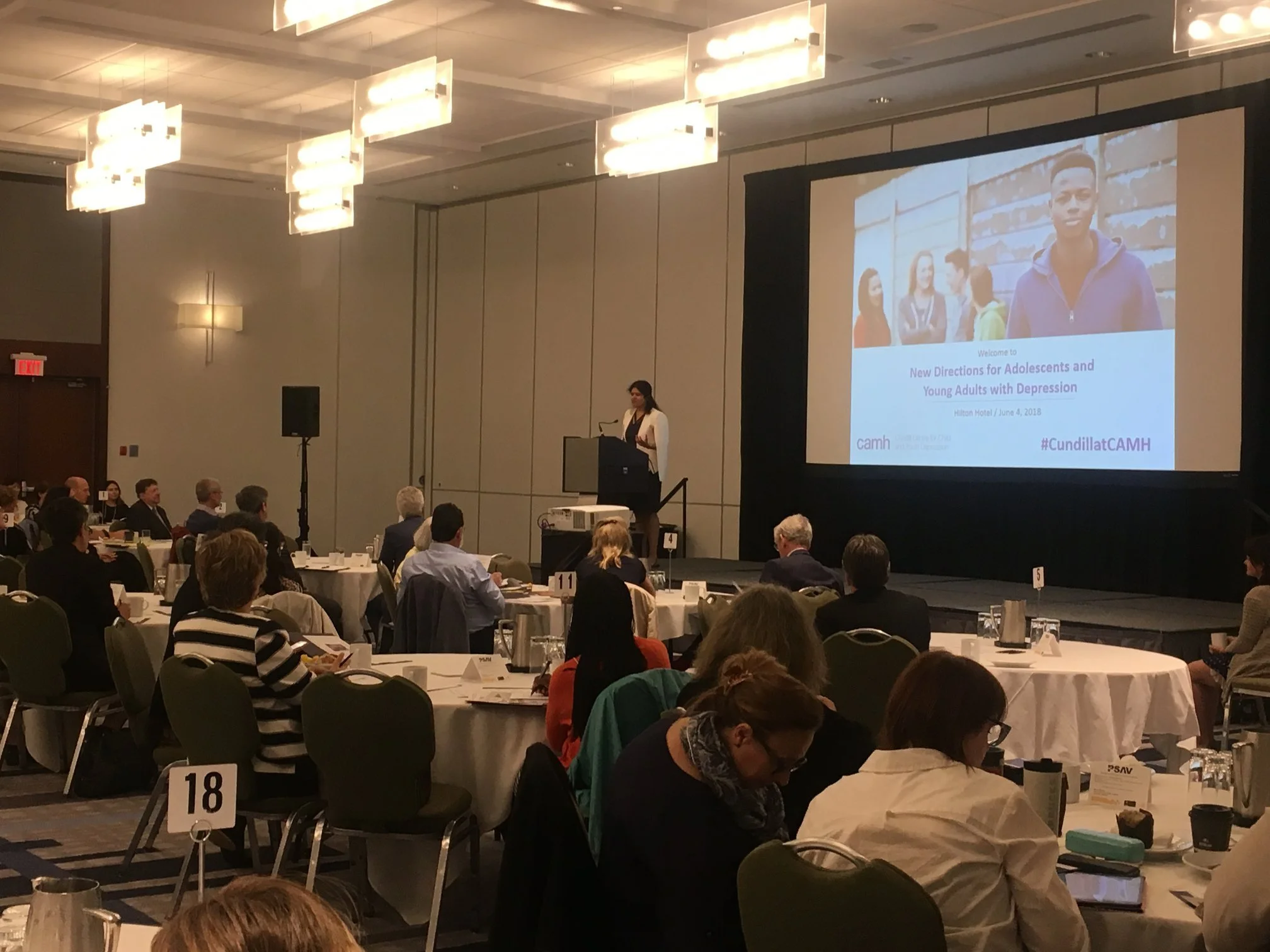 Cundill Conference 4June18.jpg