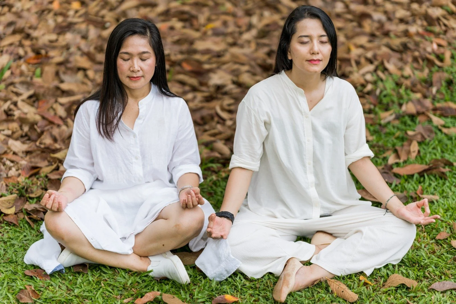 WhatsApp Image 2023-05-20 at 2.40.42 PM.jpeg