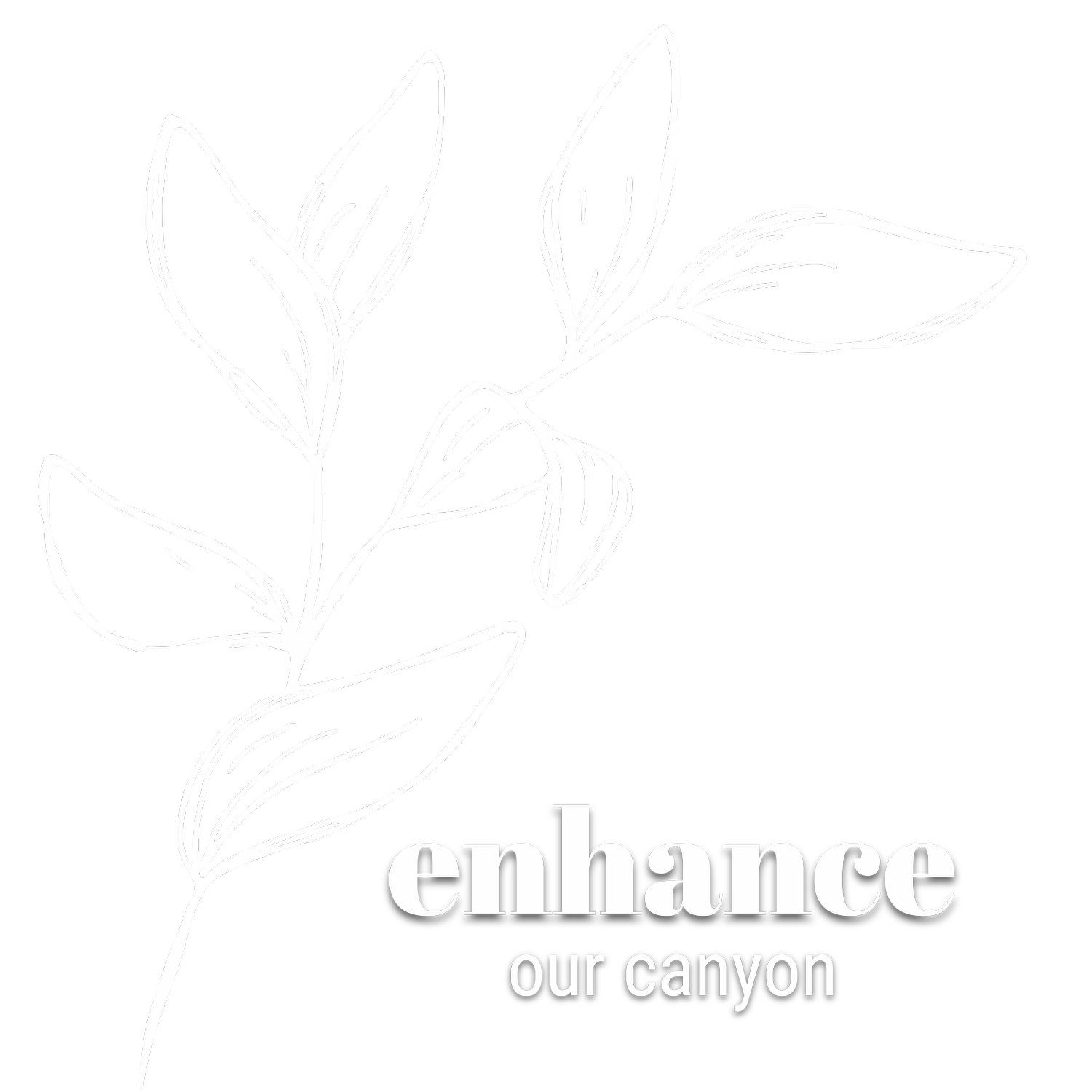 enhance our canyon